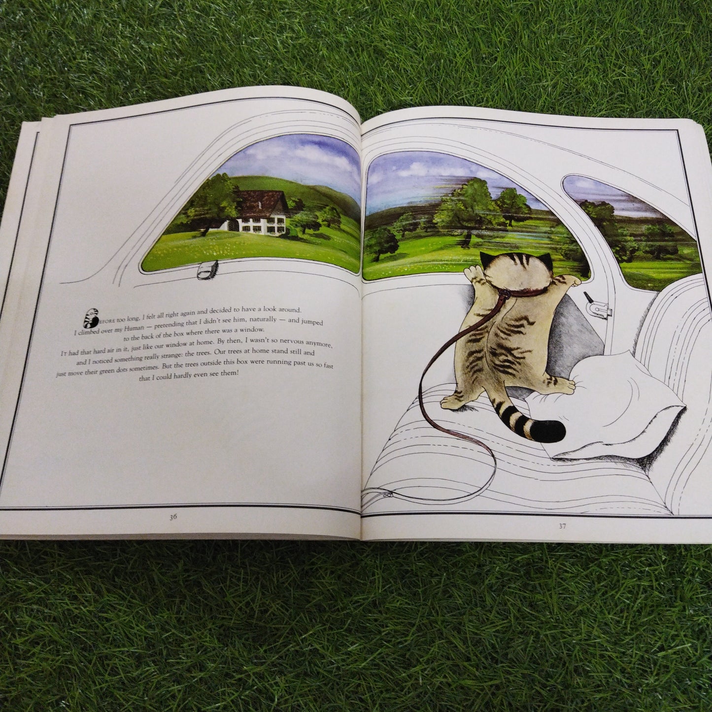 Me And My Human Little cat Tales