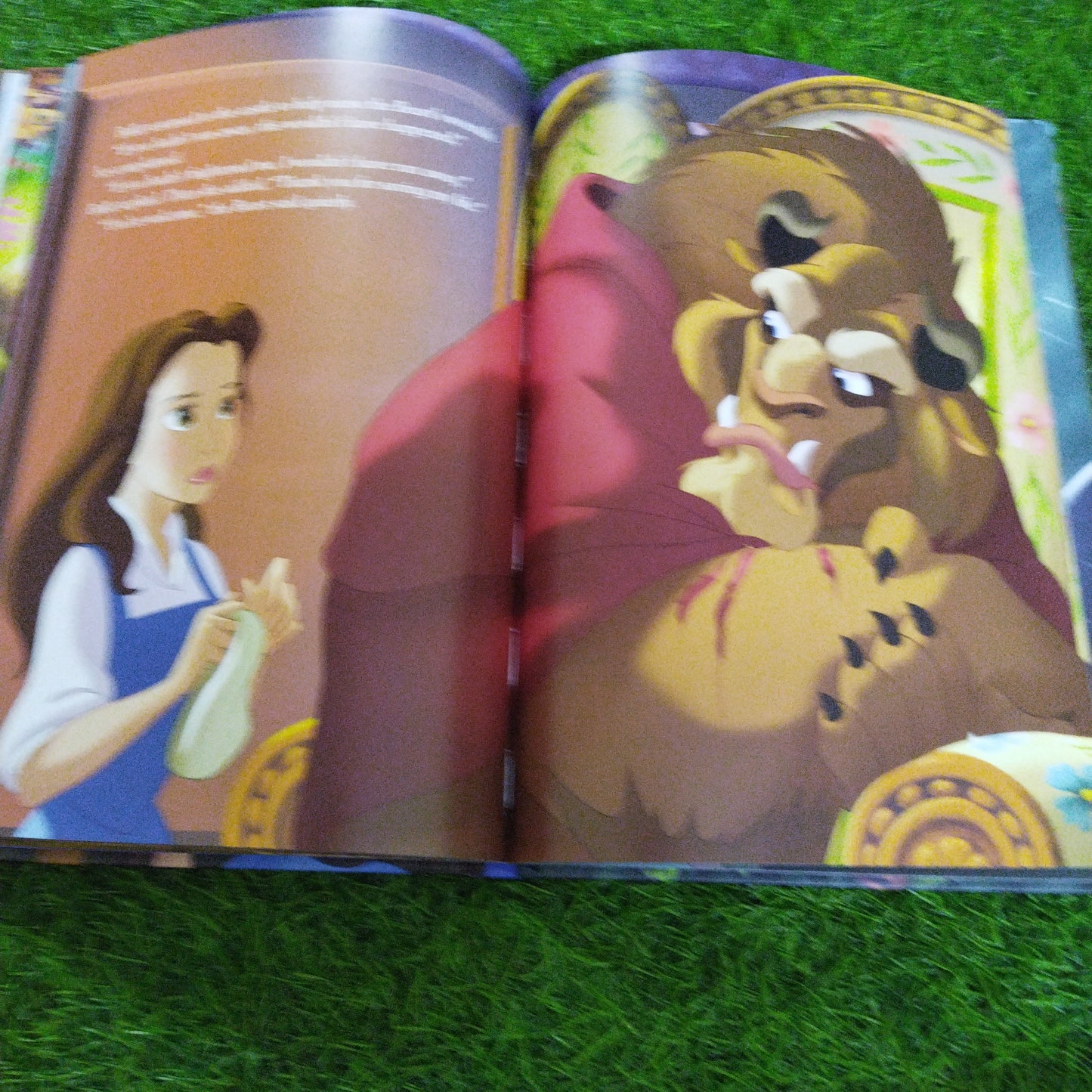 Disney Princess Beauty and the Beast