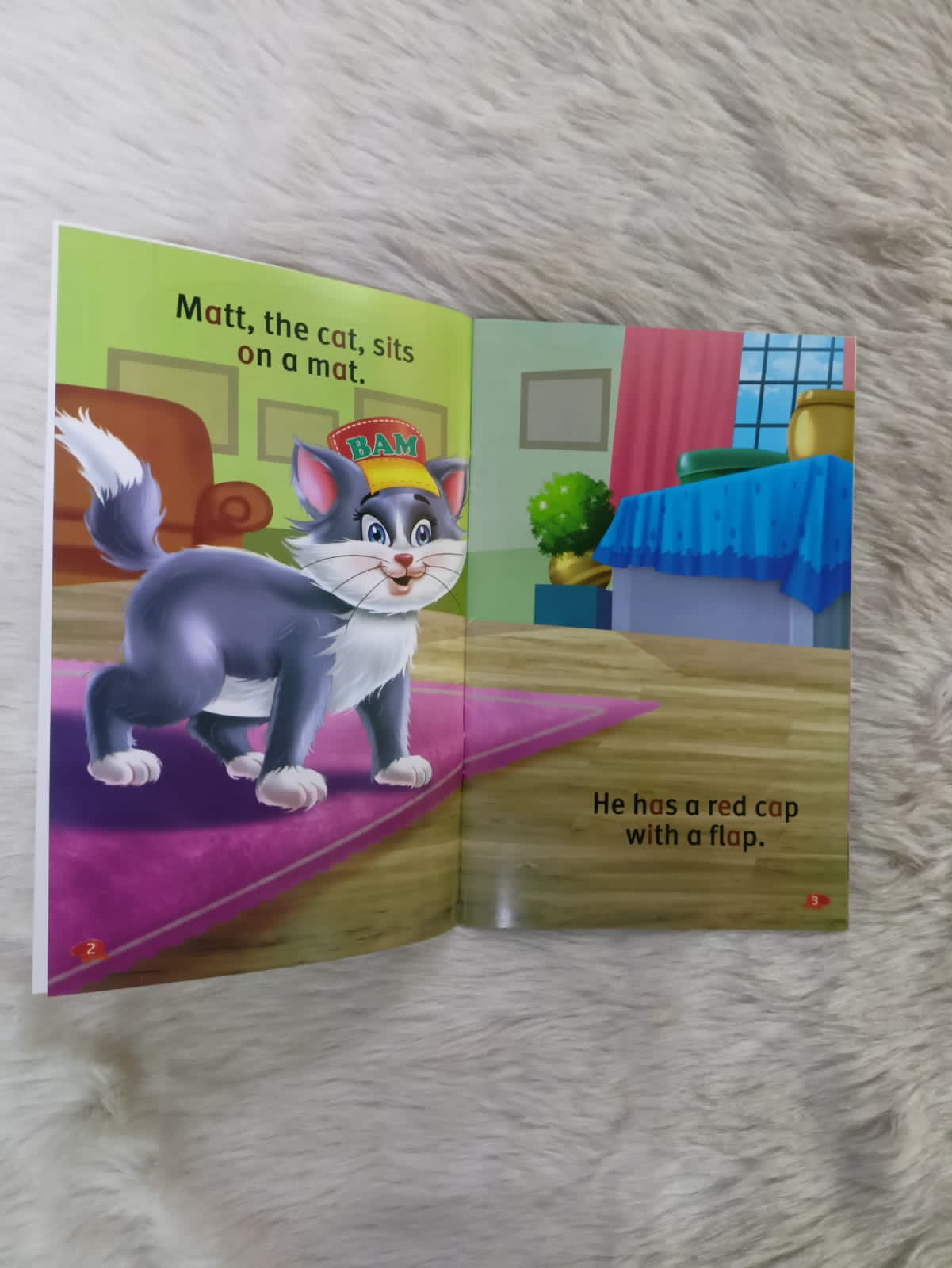 Phonics Story Book Set (set of 6 books) | Big Picture Books
