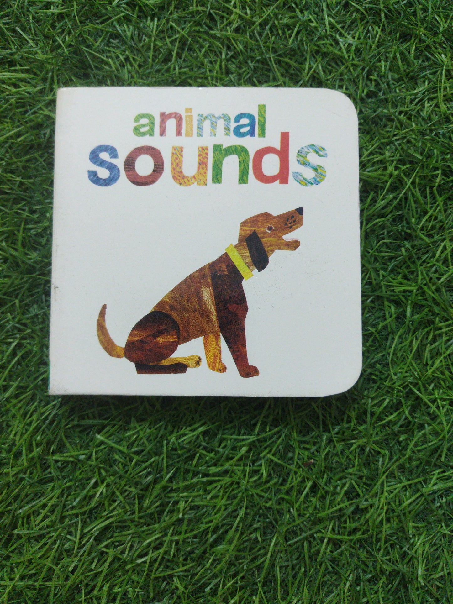Animal Sounds