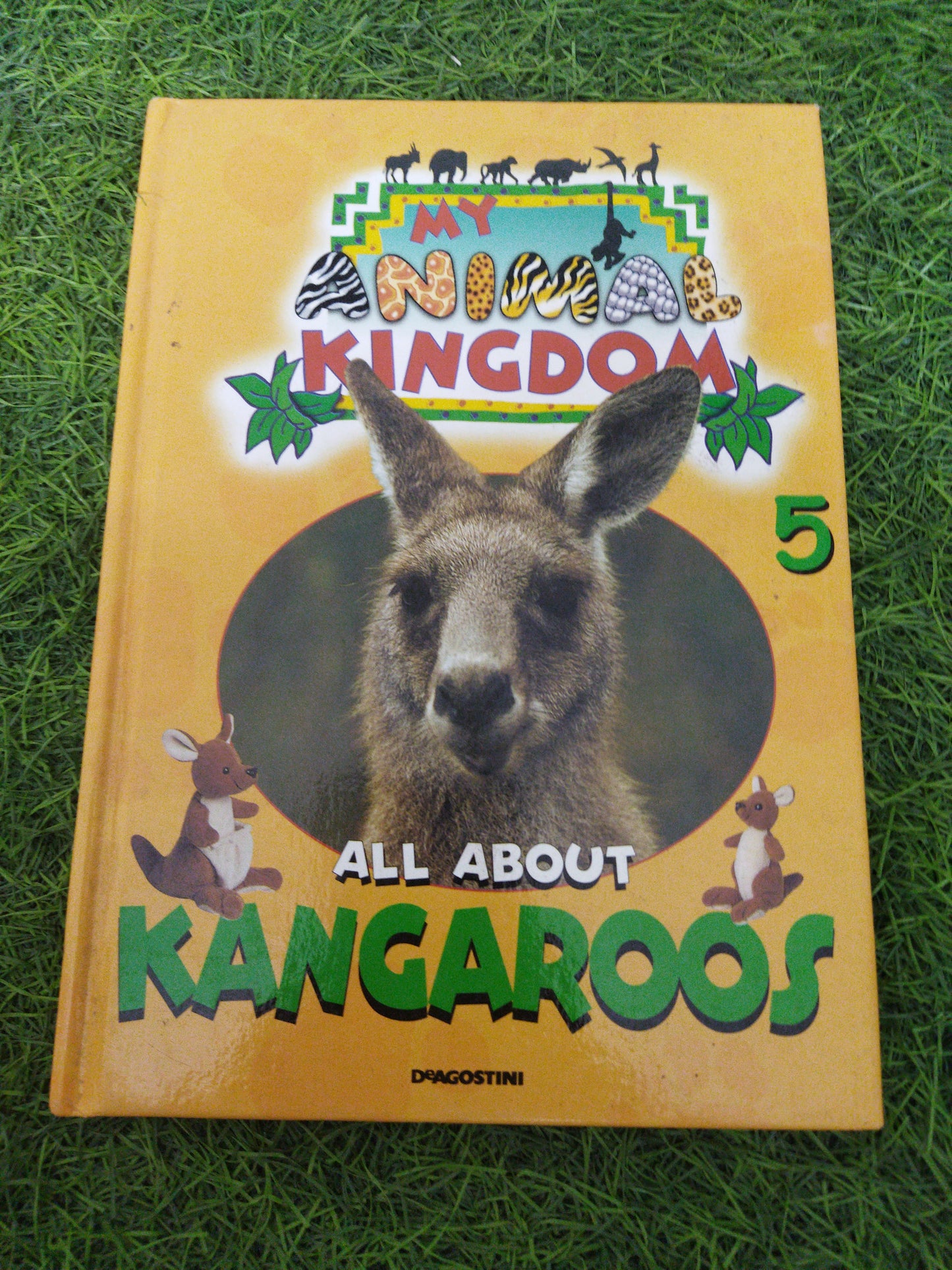 My Animal Kingdom All About Kangaroos
