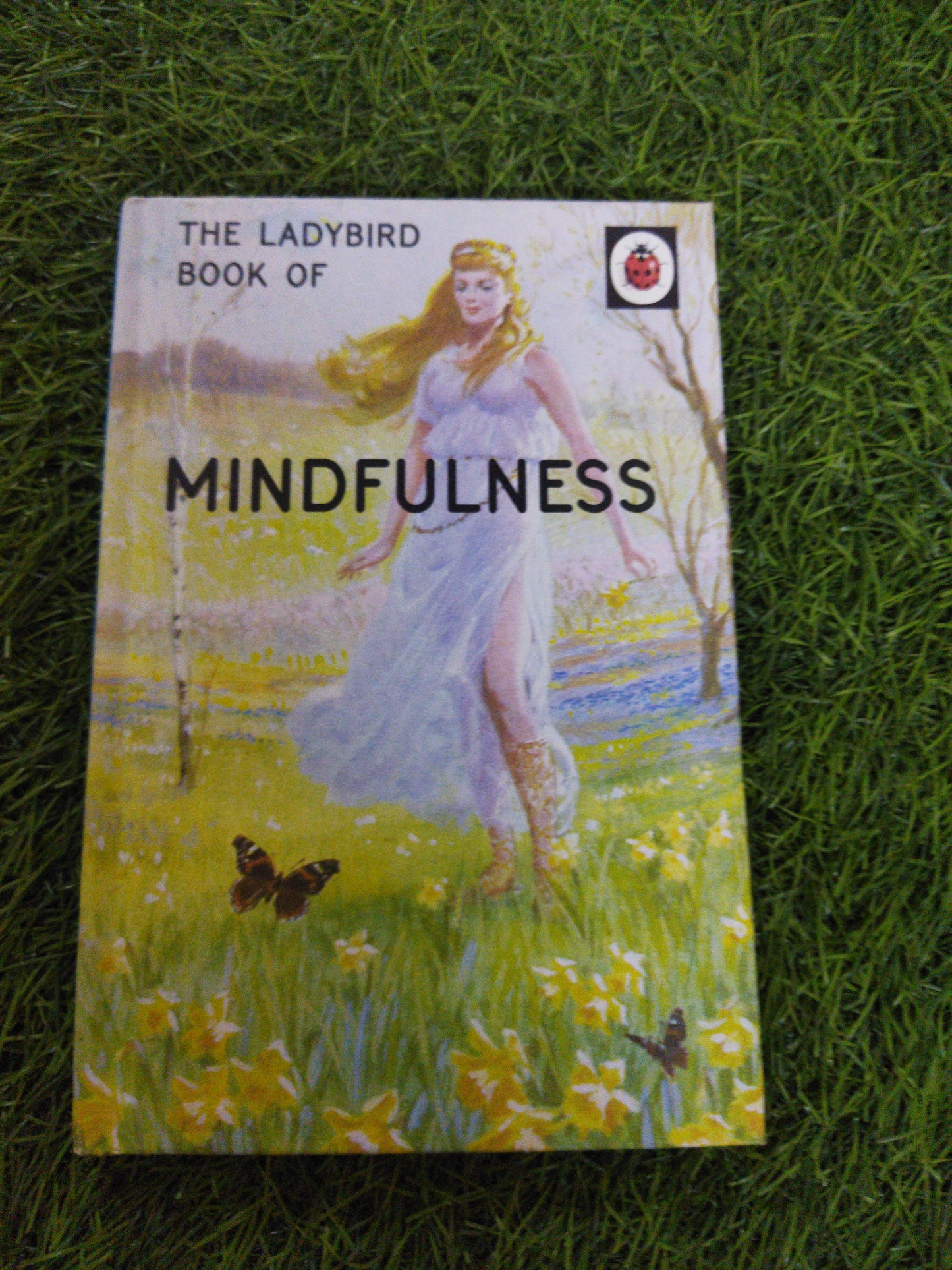 The Ladybird Book Of Mindfulness
