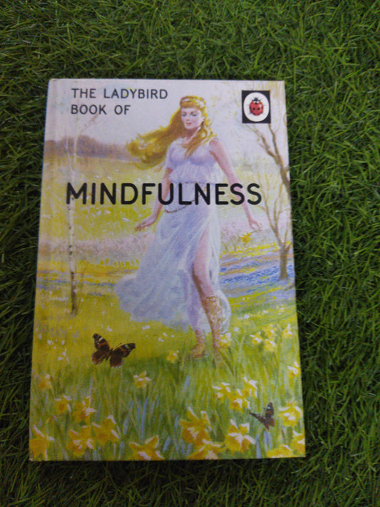 The Ladybird Book Of Mindfulness