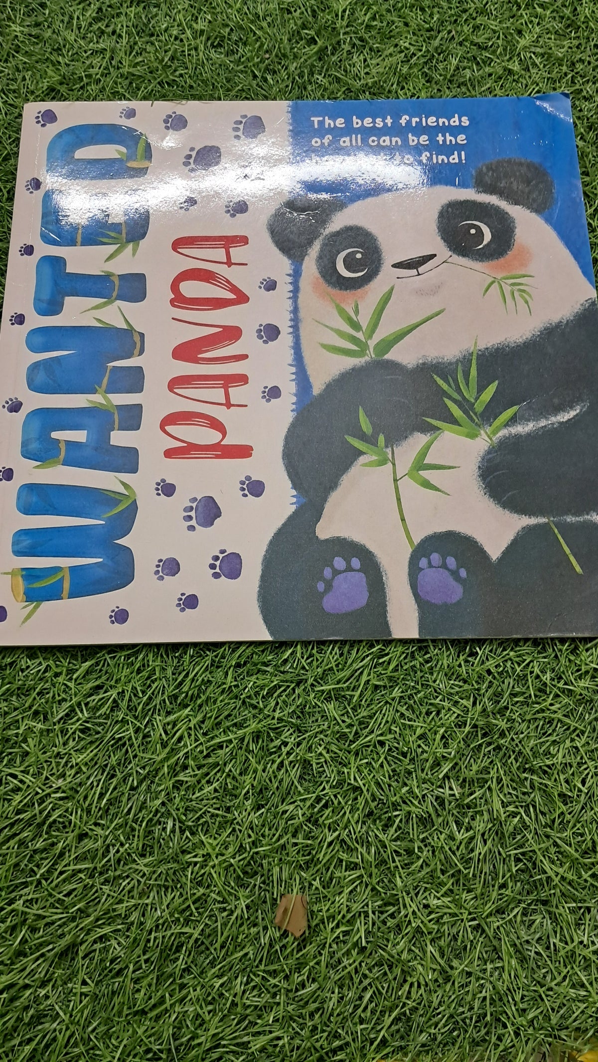 Wanted Panda