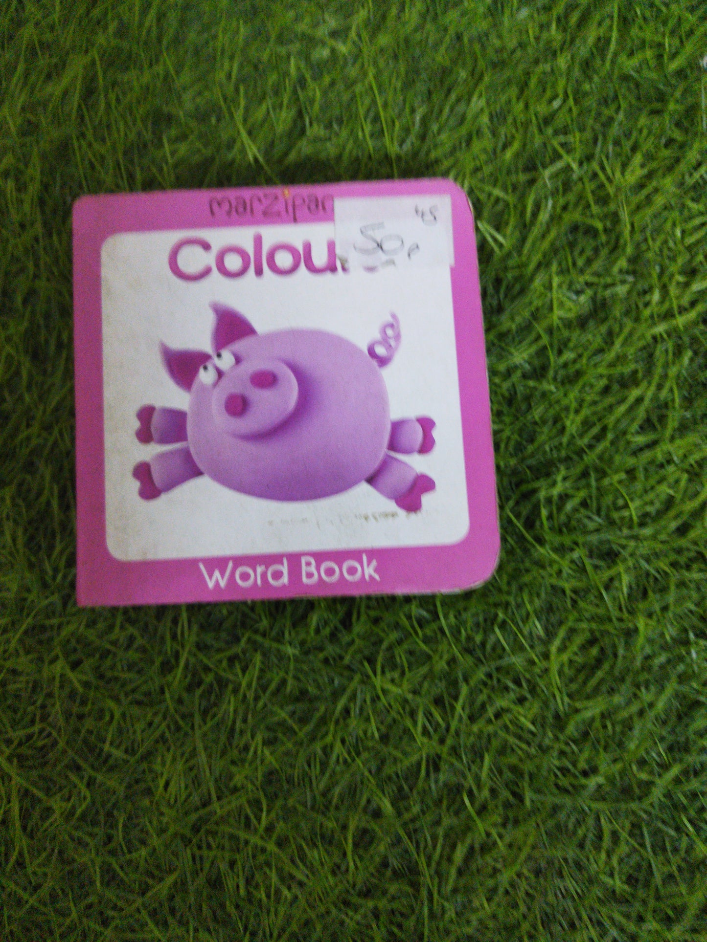 Colours Word Book