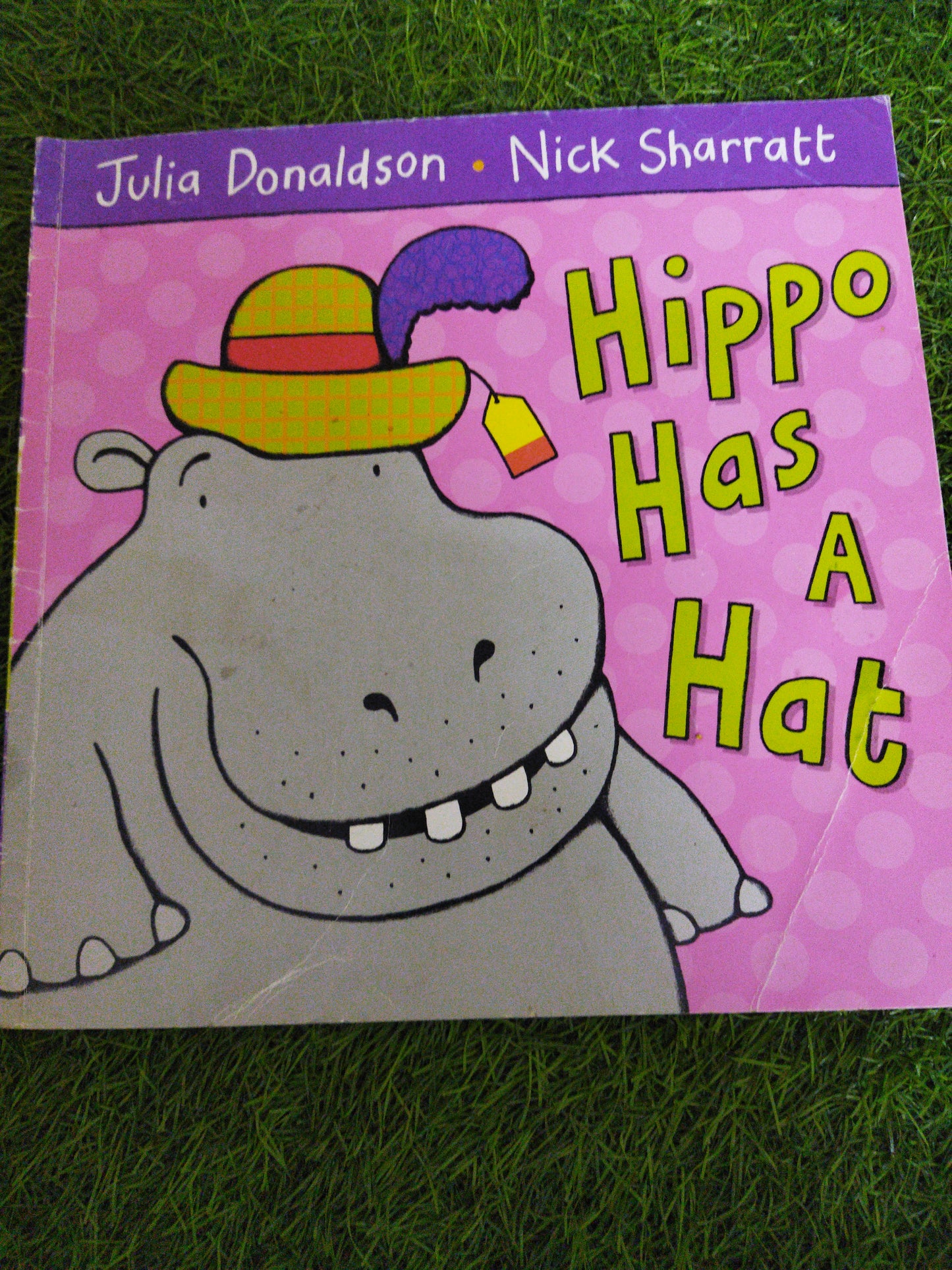 Hippo Has A Hat