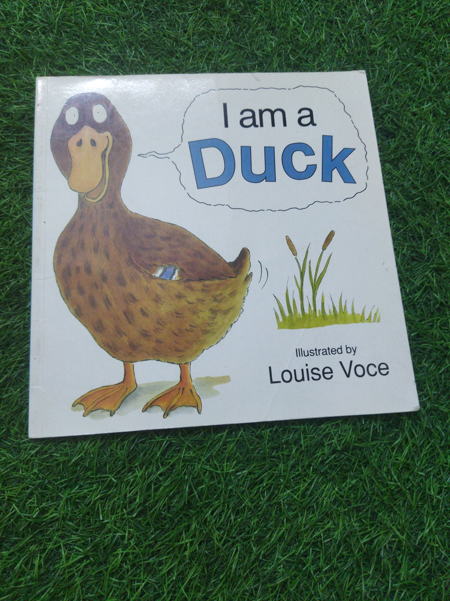 I am a Duck