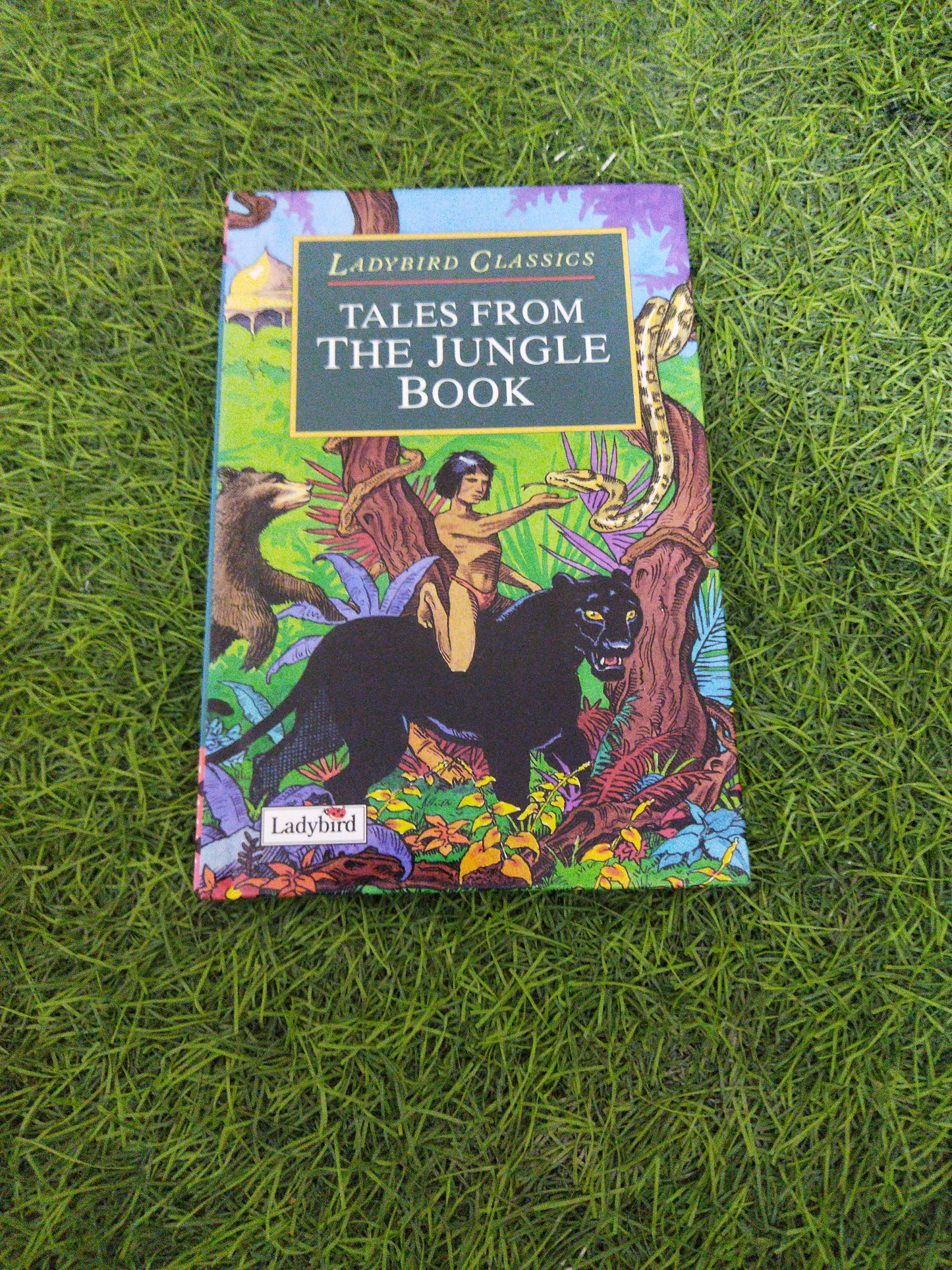 Ladybird Classics Tales From The Jungle Book