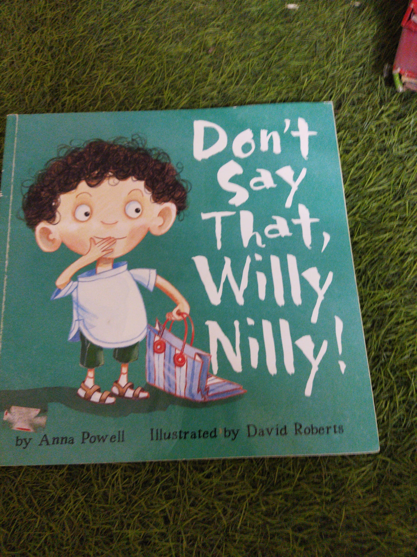 Don't Say That, Willy Nilly !
