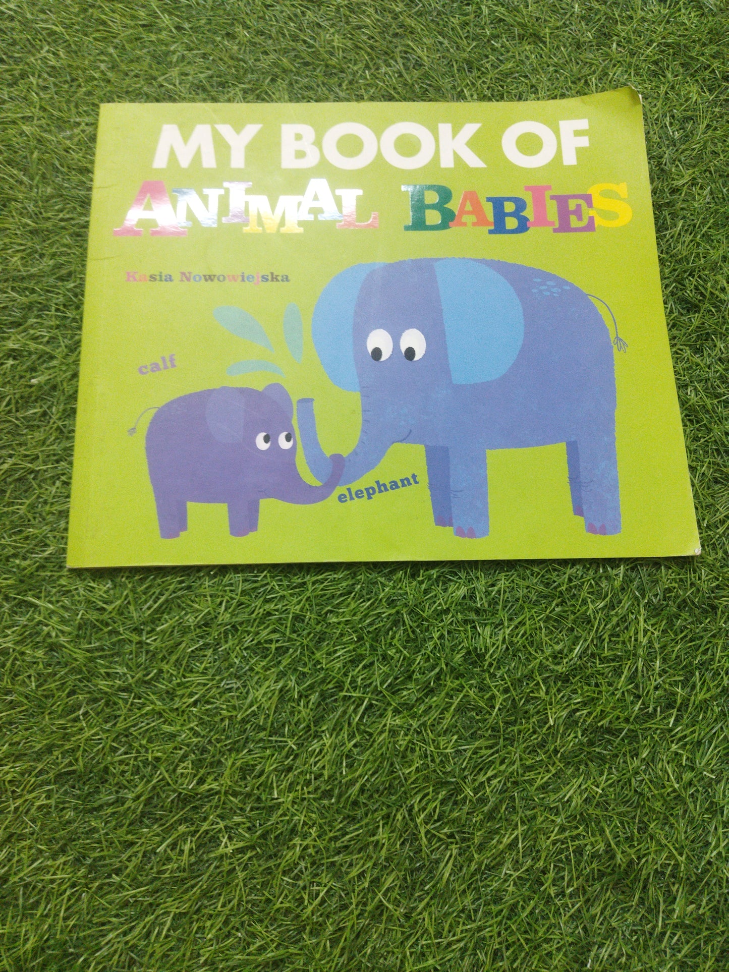 My Book Of Animals Babies