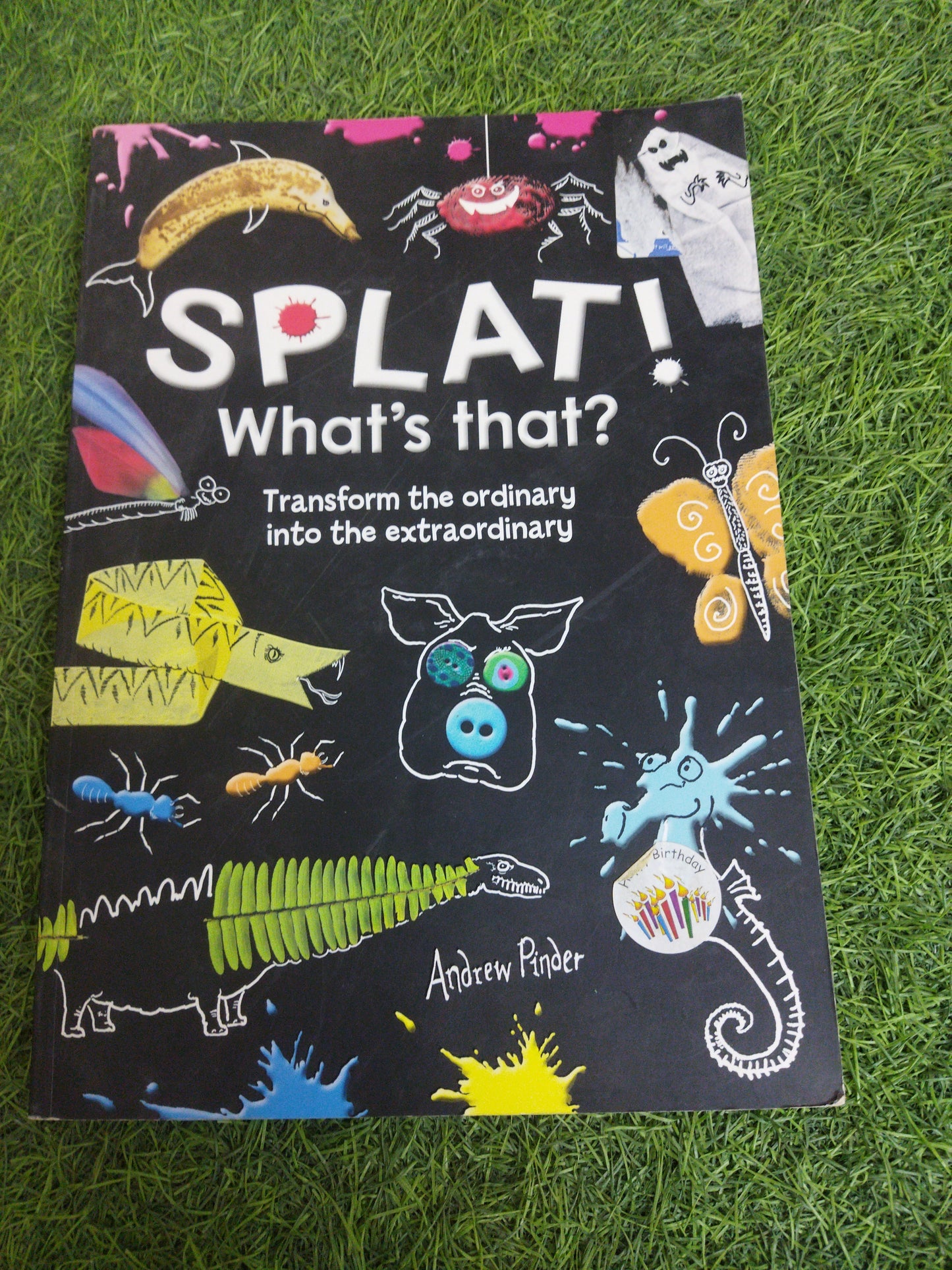 SPLAT ! What's That ? Transform the ordinary into the extraodinary