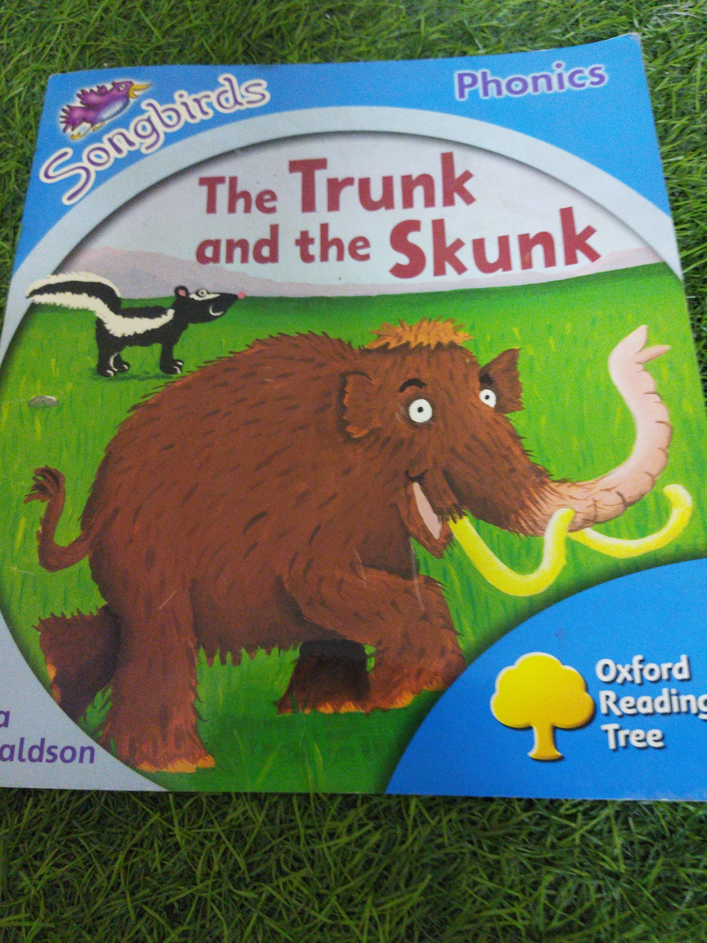 Phonics The Trunk and the Skunk