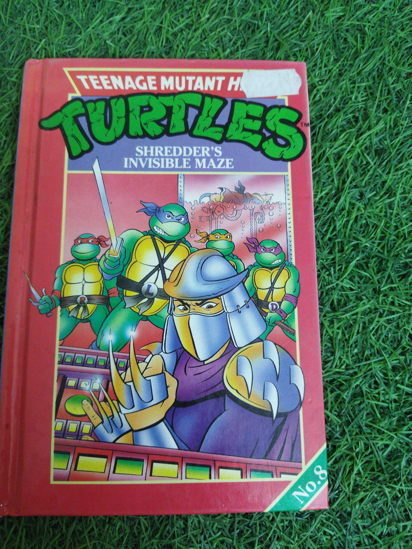 Turtles Shredder's Invisible Maze