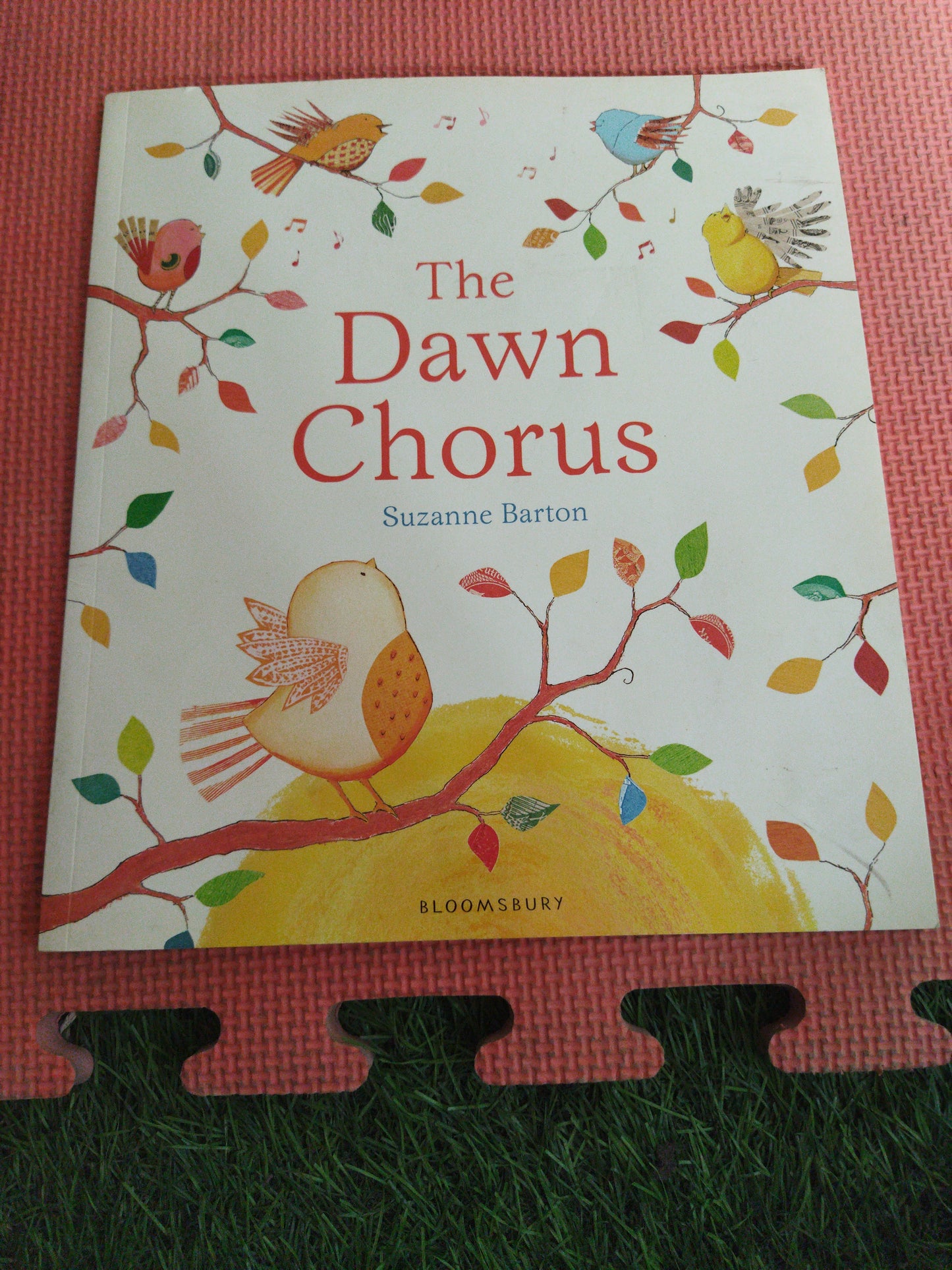 The Dawn Chorus