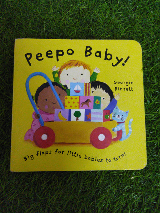 Peepo Baby ! Big flapsb for little babiesn to turn !