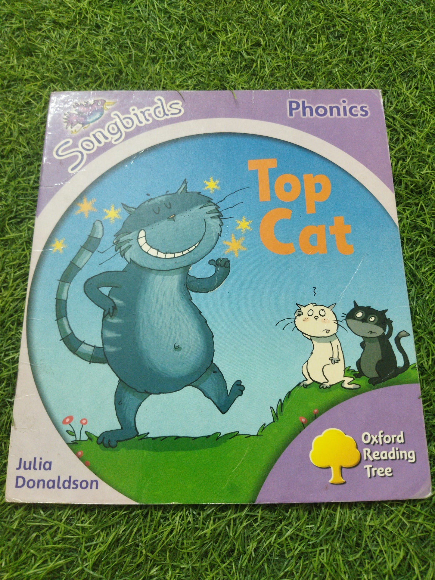 Top Cat