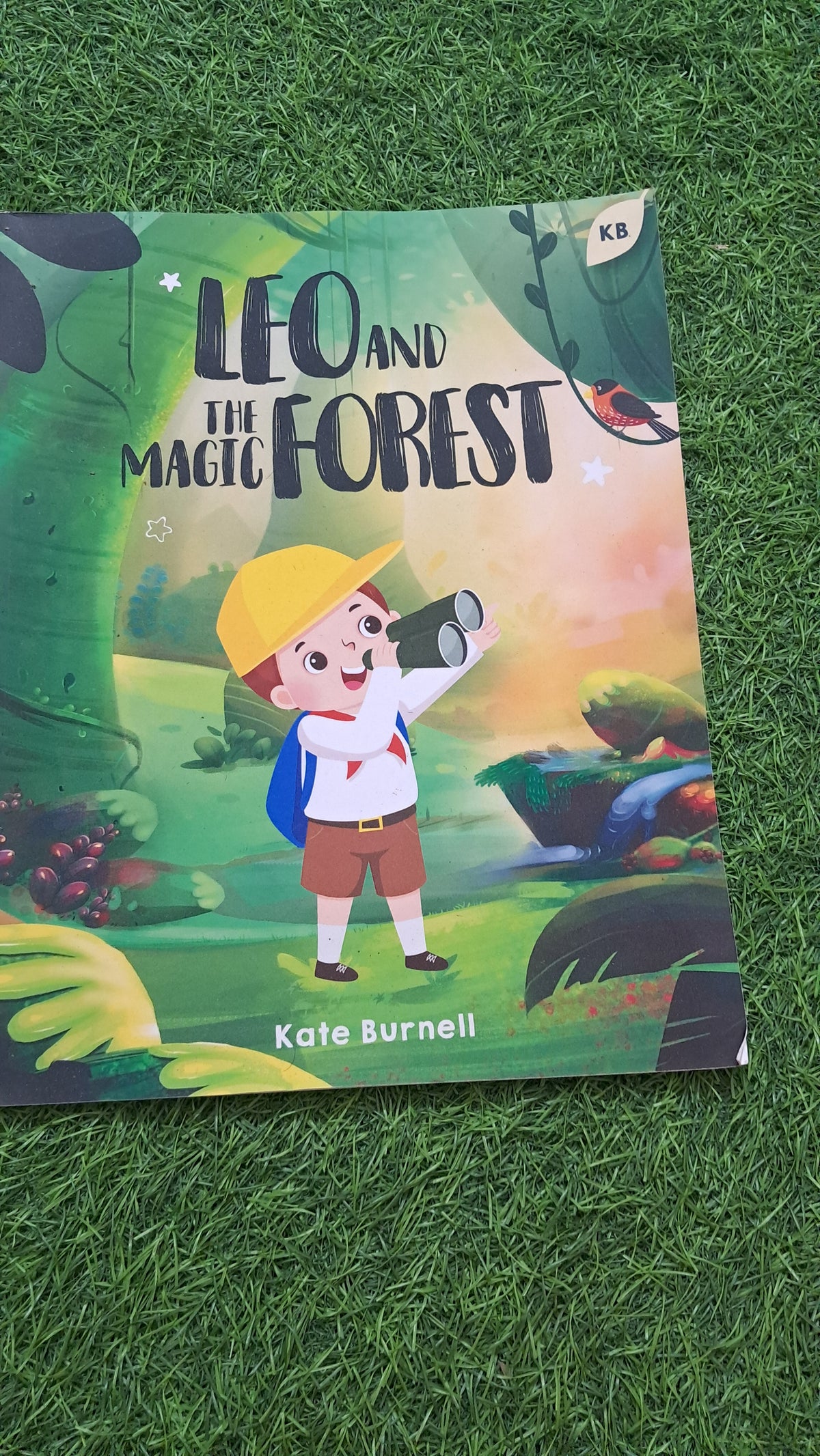 Leo and the Magic Forest
