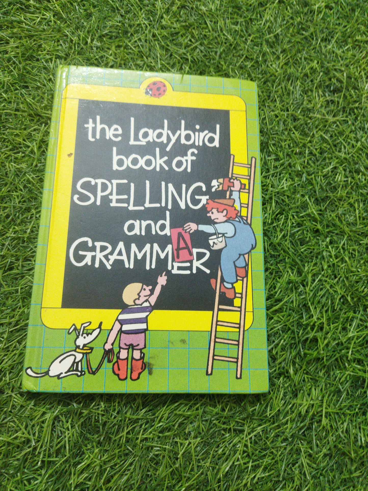 The Ladybird Book Of Spelling and Grammer