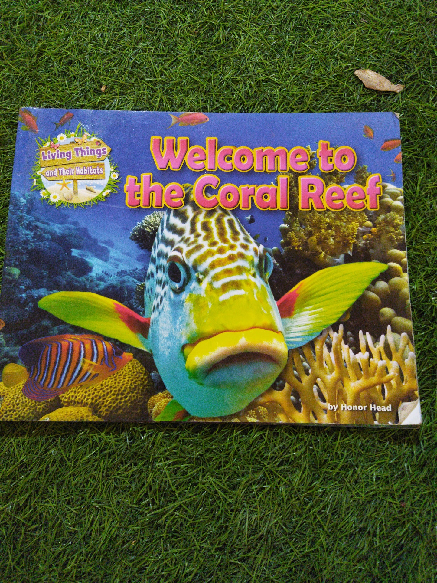 Living Things and Their Habitats Welcome to the coral Reef