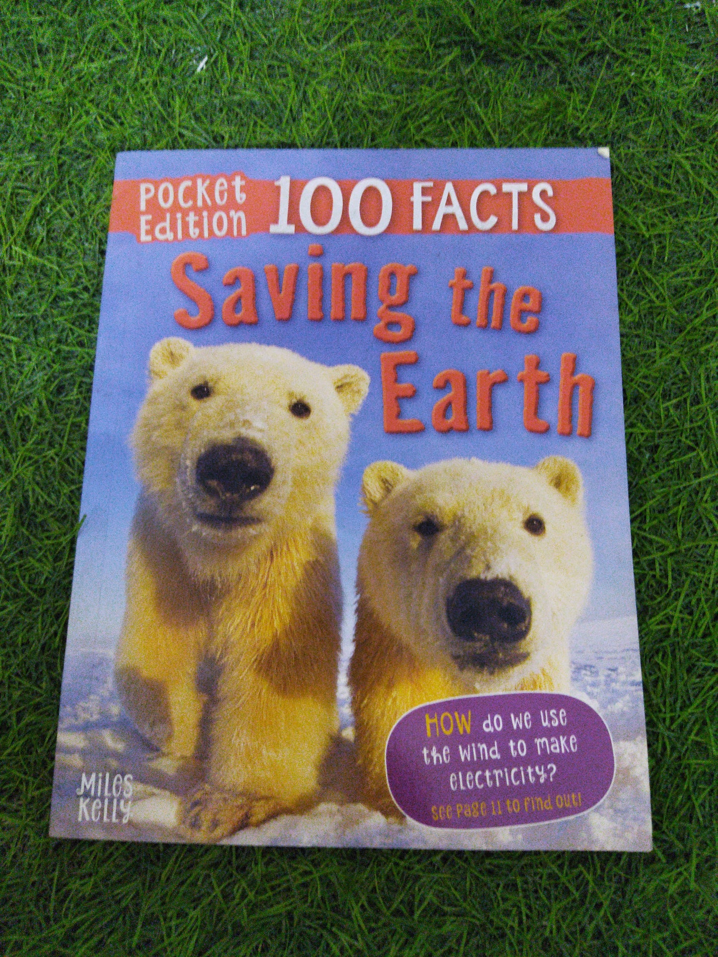 100 Facts Saving the Eart