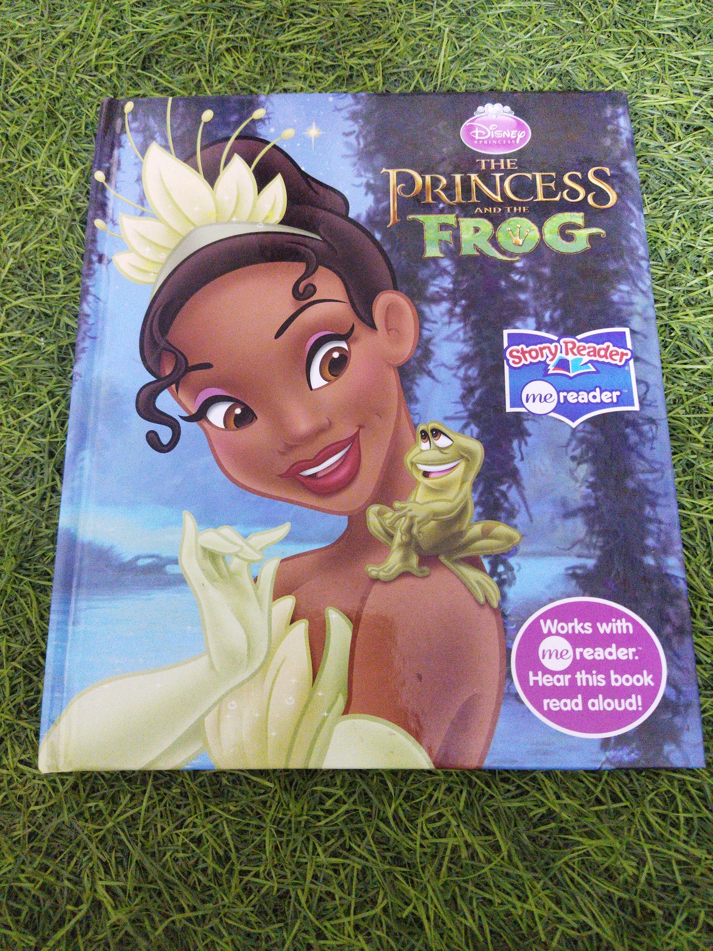 Disney Princess The Princess And The Frog