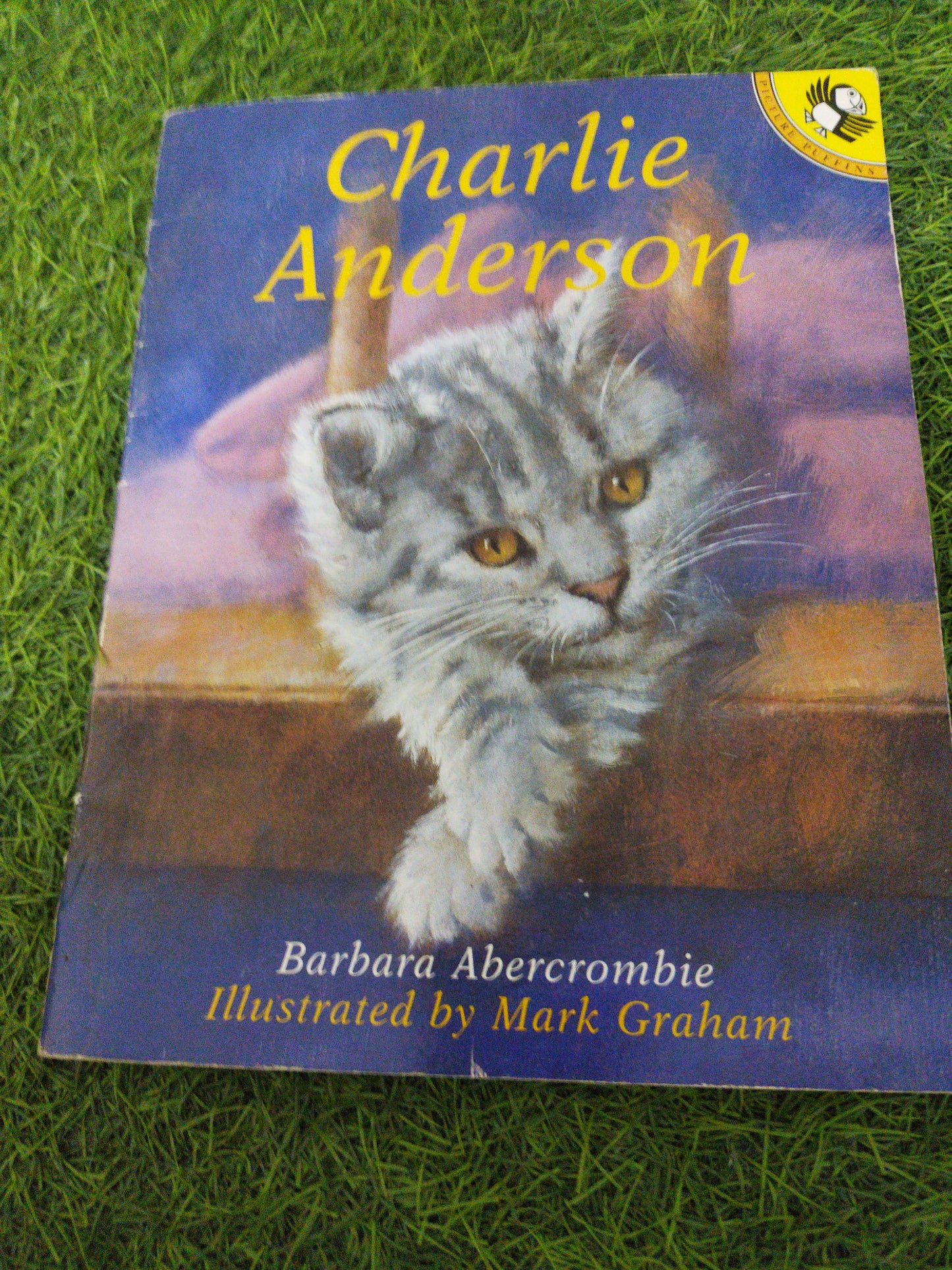 Charlie Anderson