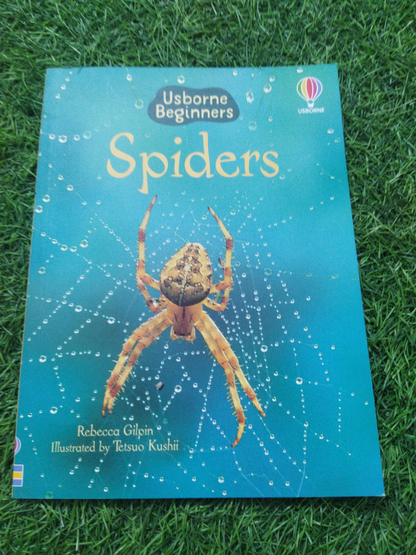 Usborne Beginners spiders