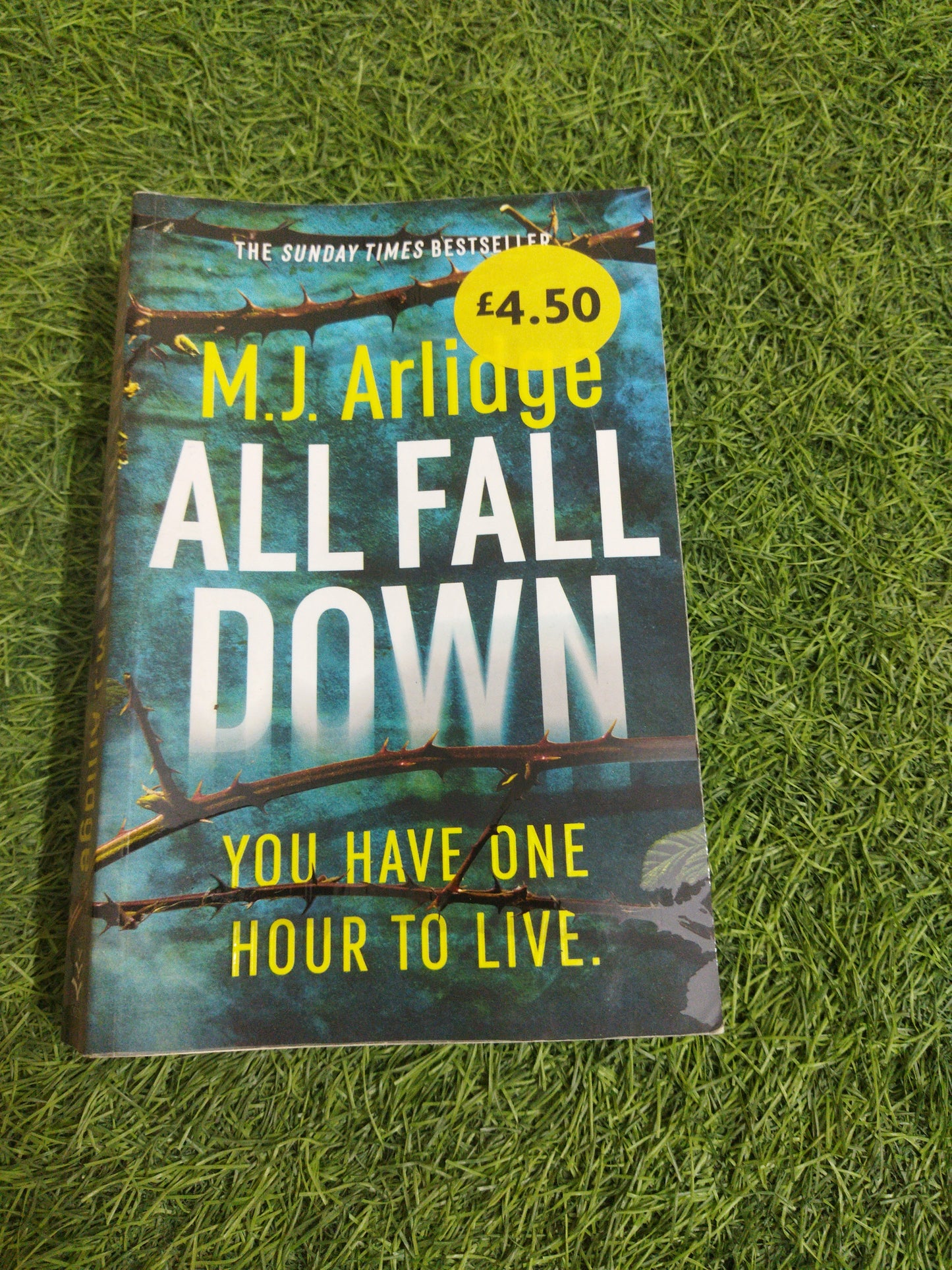 All Fall Down You Have One Hour To Live.