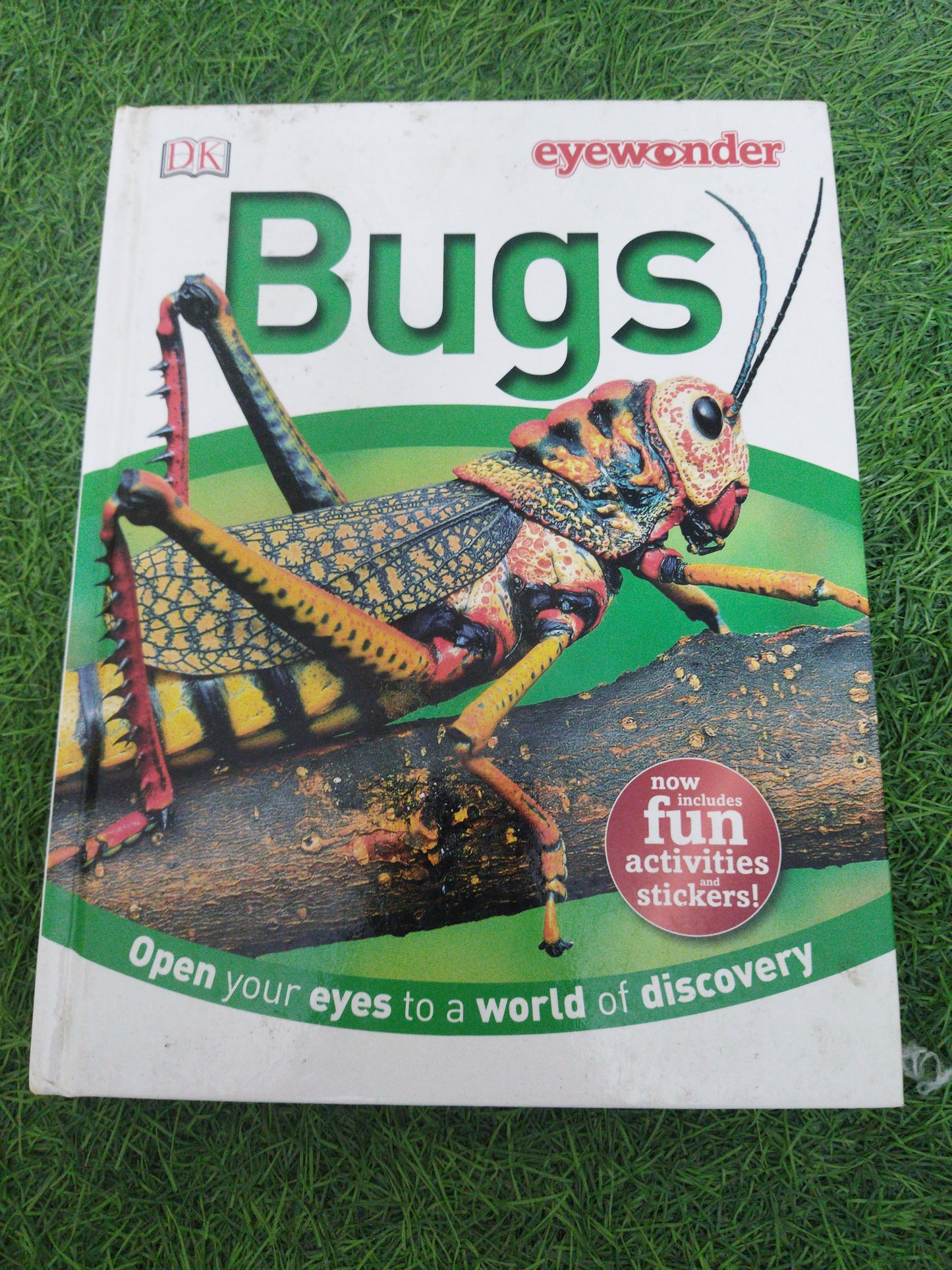 Bugs open your eyes to a world of discovery
