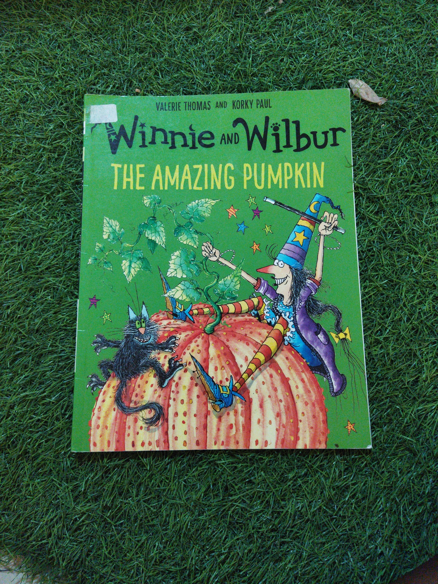 Winnie And Wilbur The Amazing Pumpkin Valerie Thomas