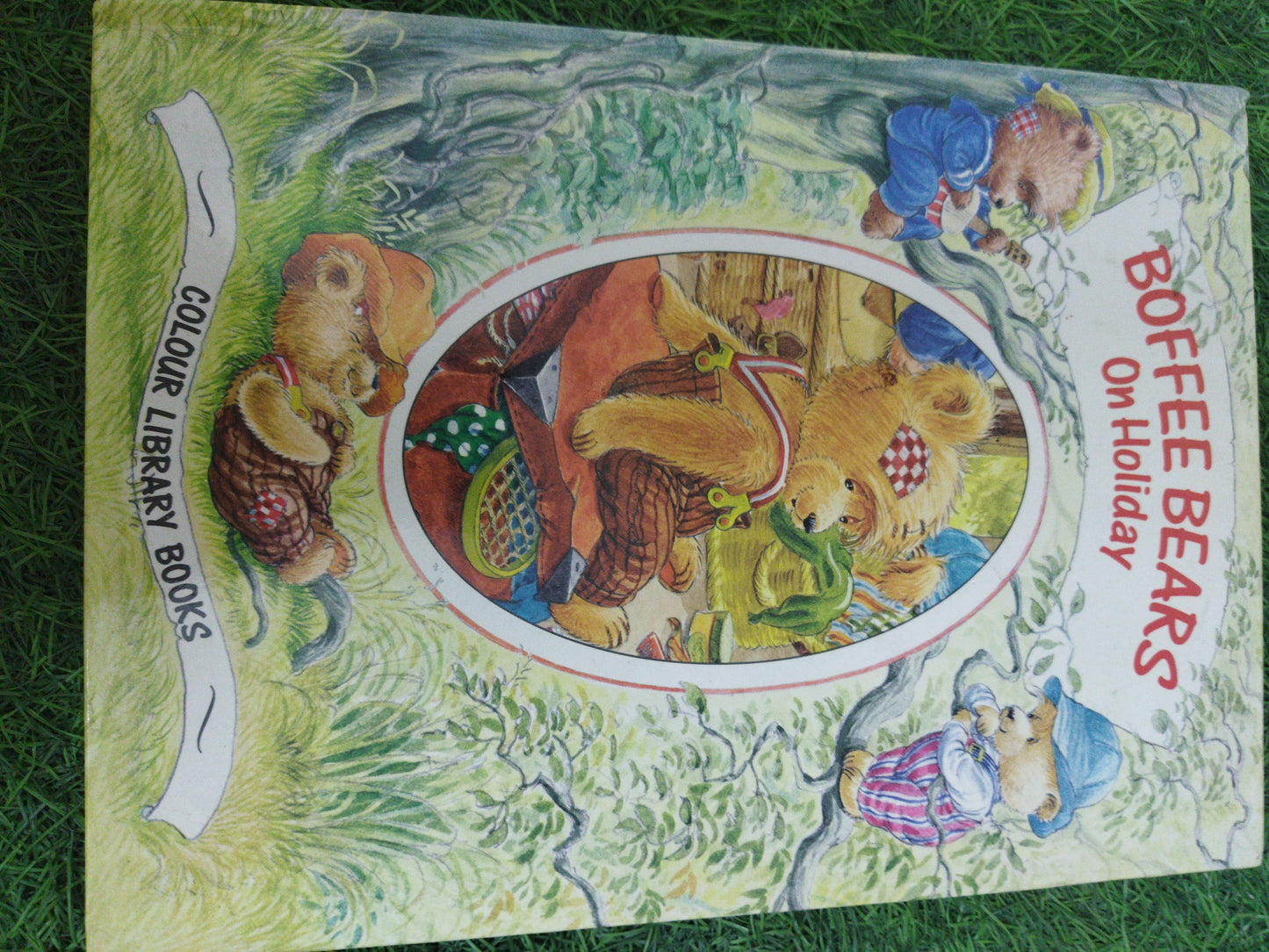 Boffee Bears on Holiday