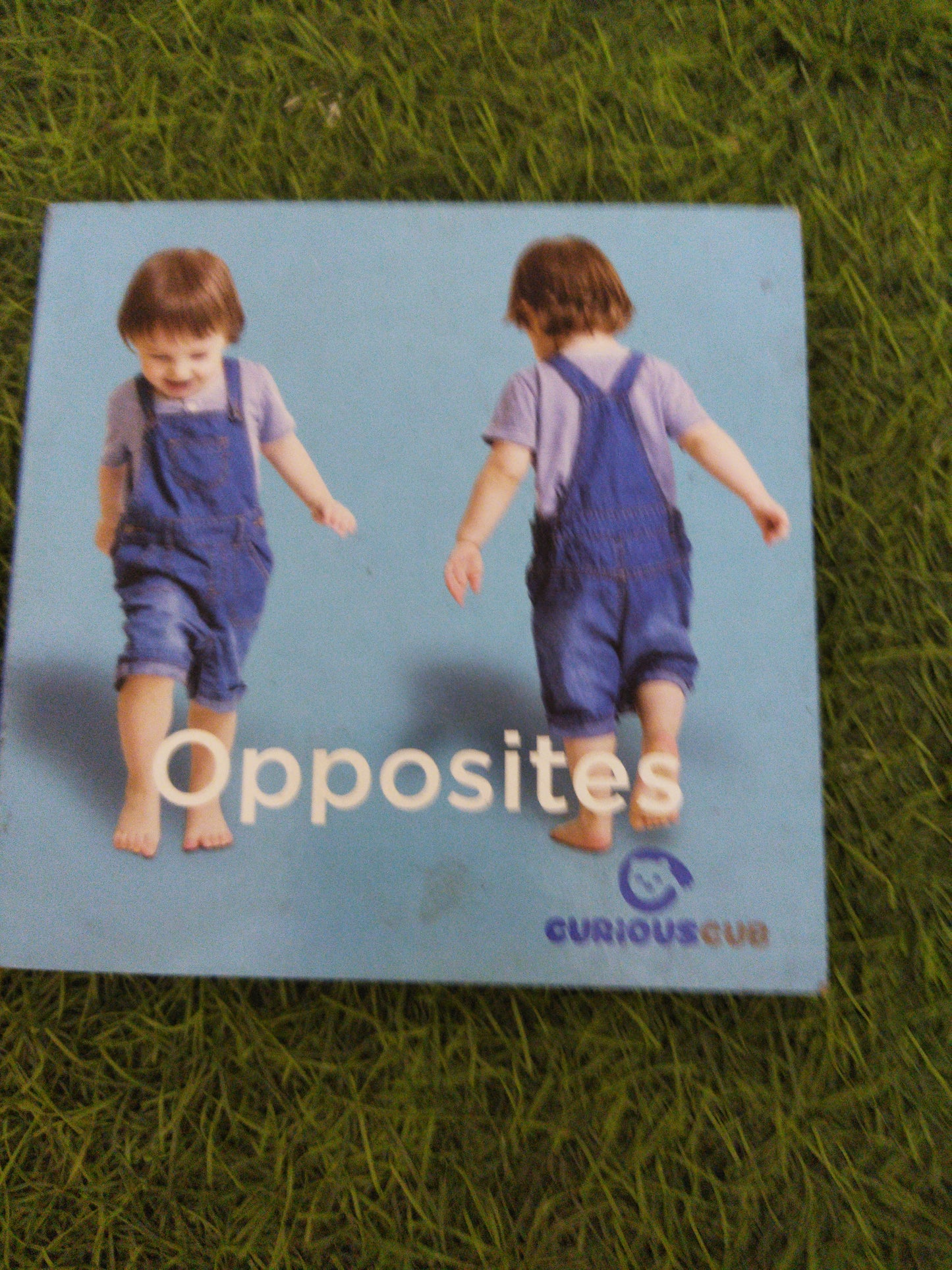Opposiotes