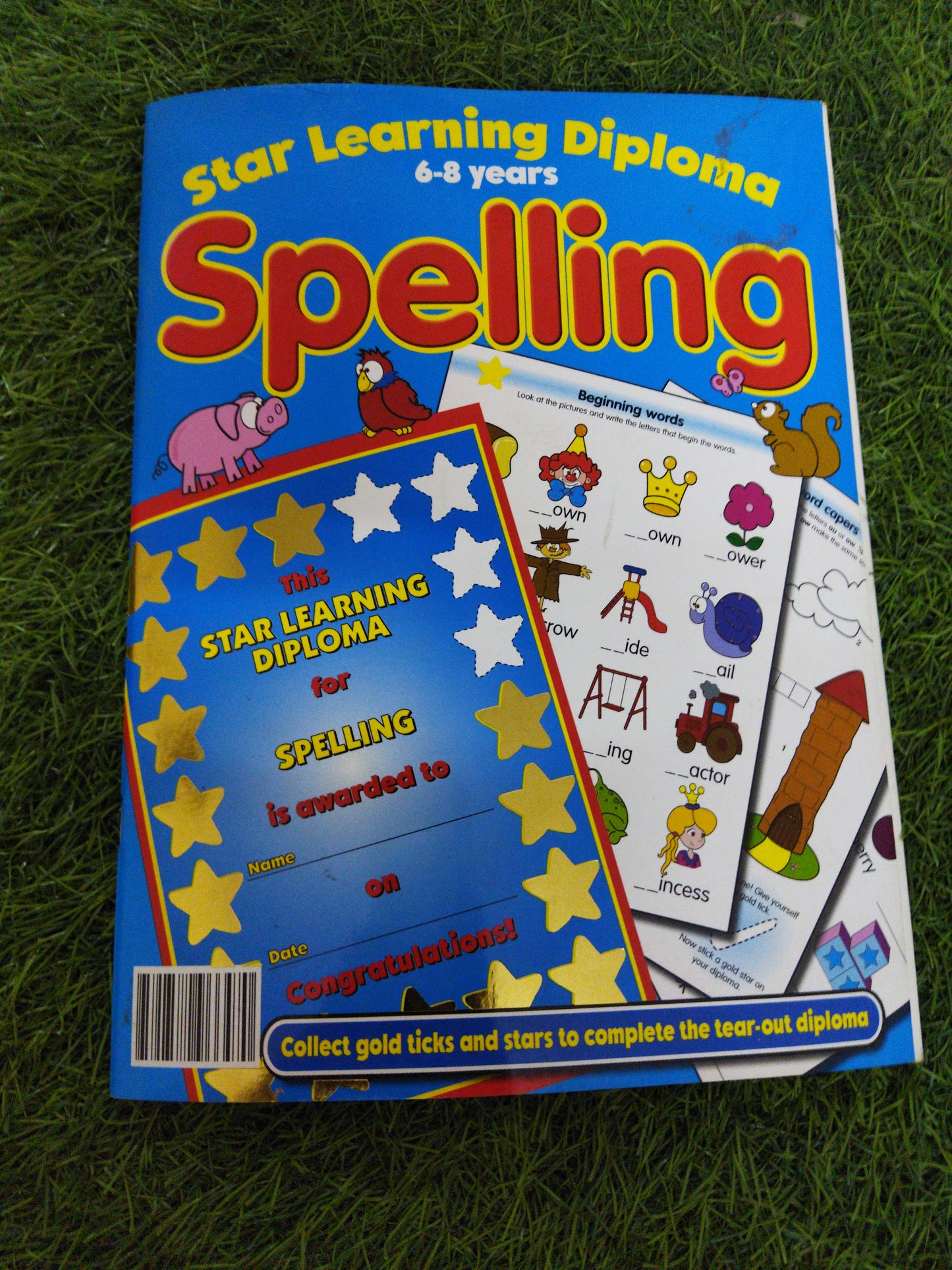star Learning Diploma Spelling