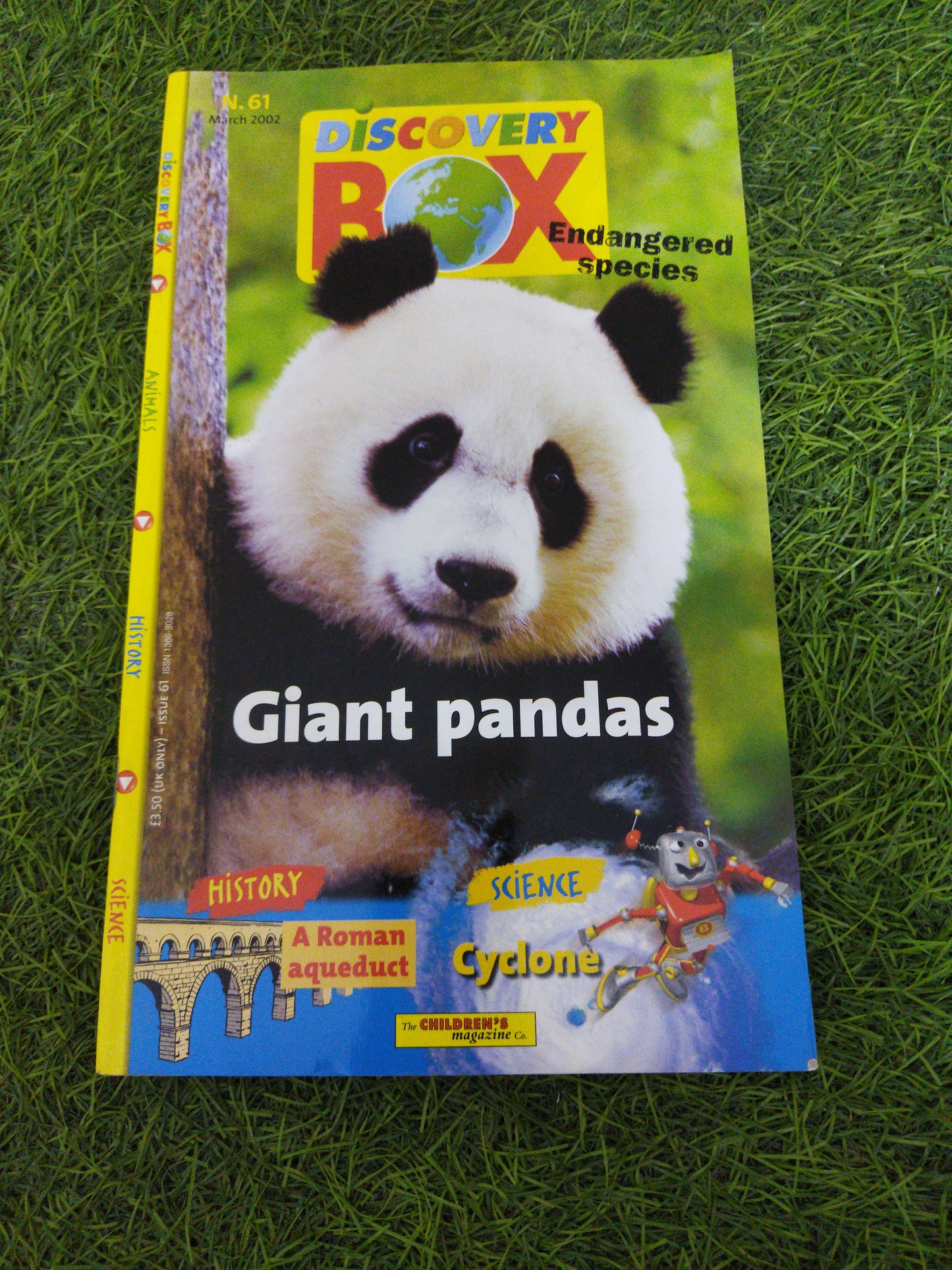 Discovery Box Giant Pandas