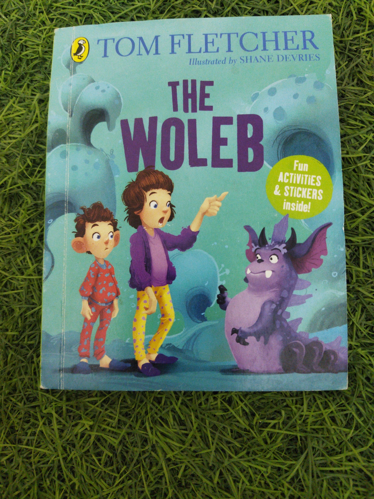 Tom Fletcher The Woleb