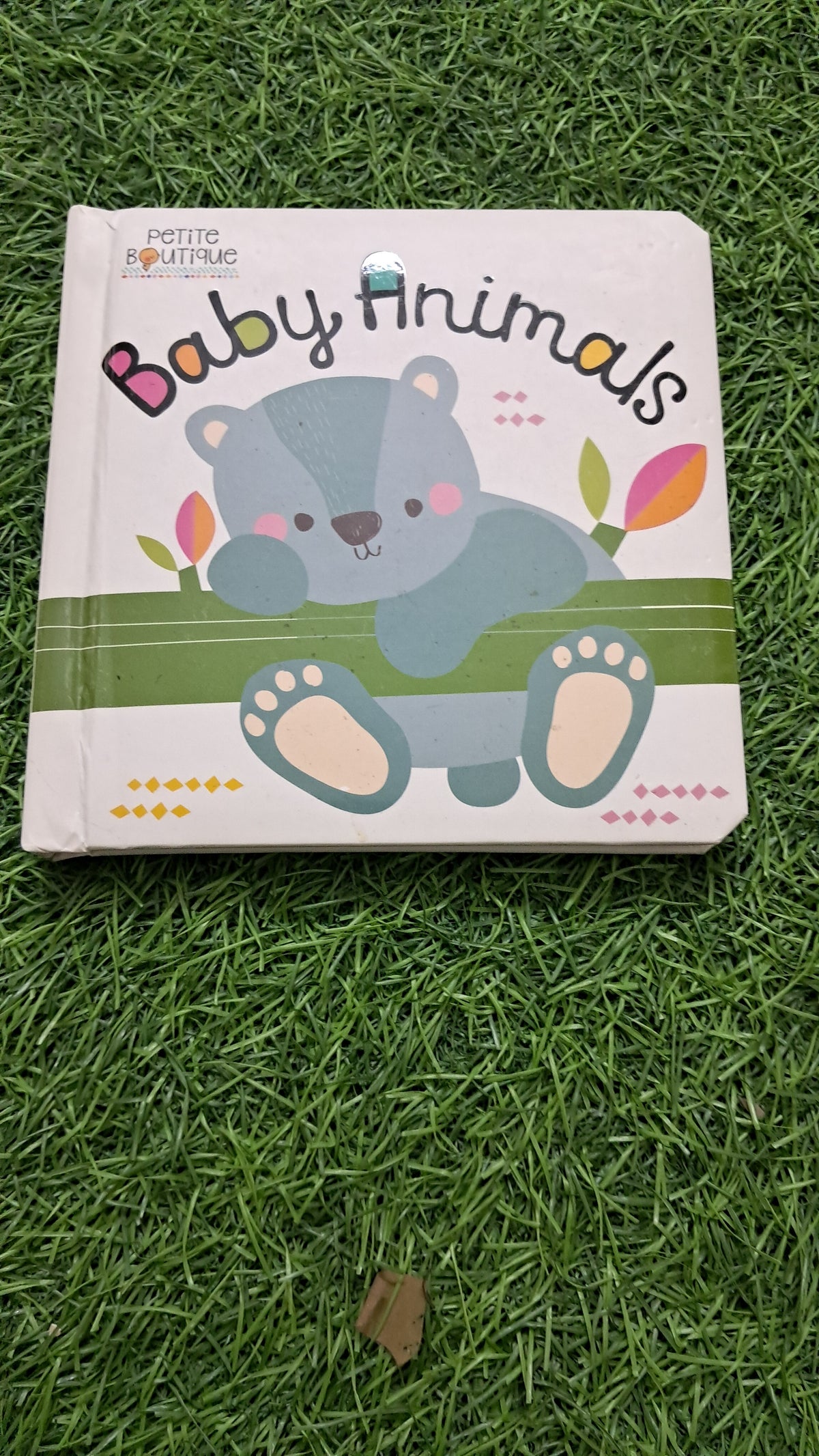 Baby Animals