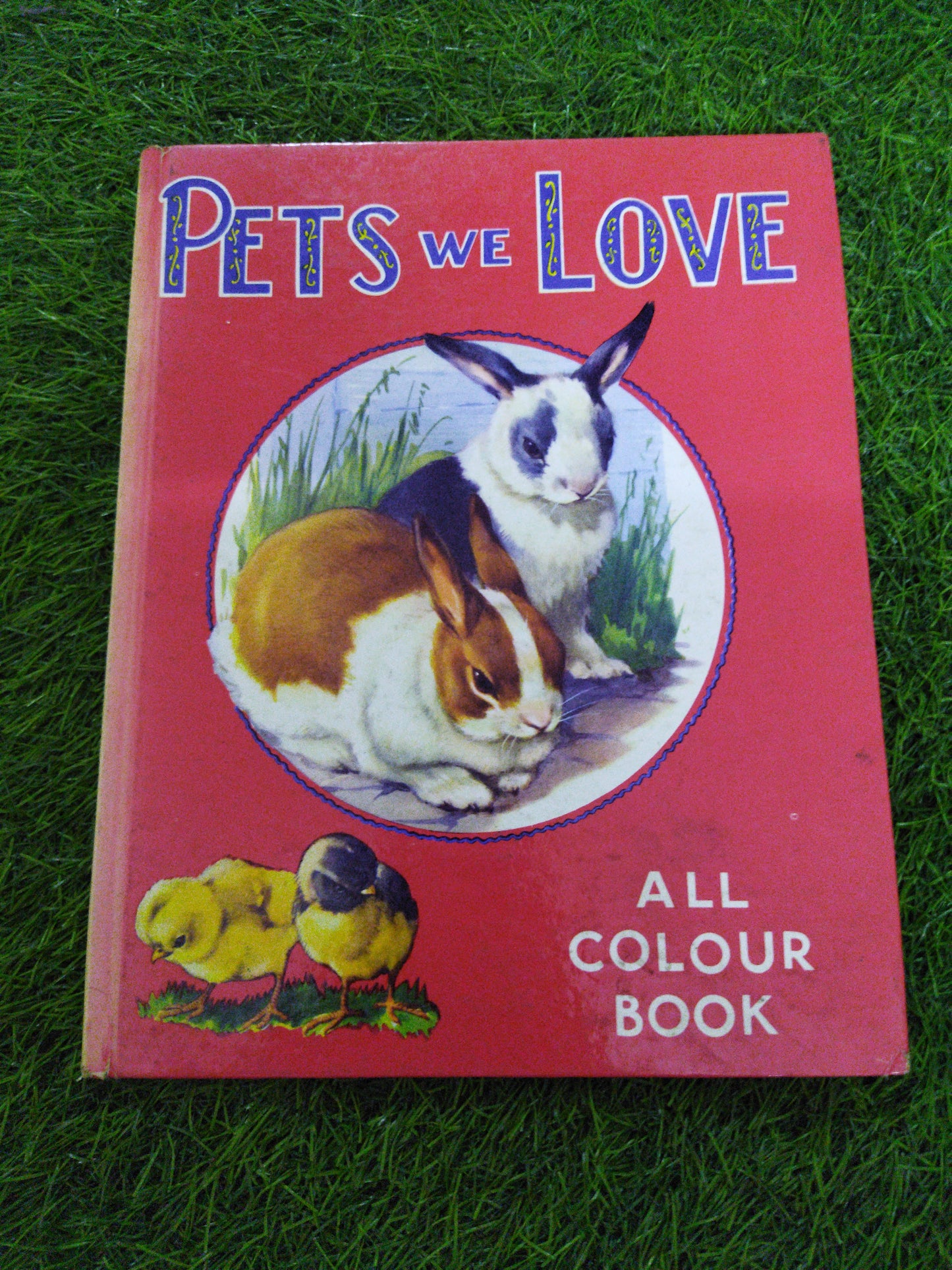 Pets   we Love All Colour Book