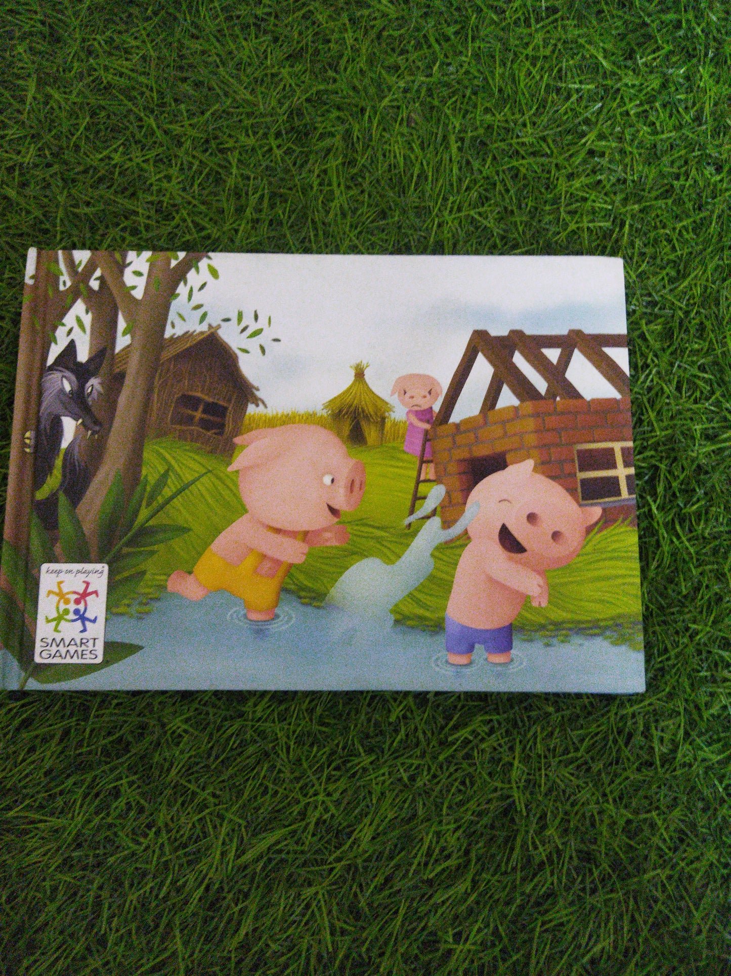 Three Little Pig Picture book
