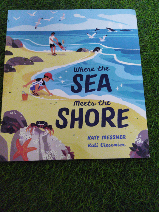 Where the Sea Meets the Shore