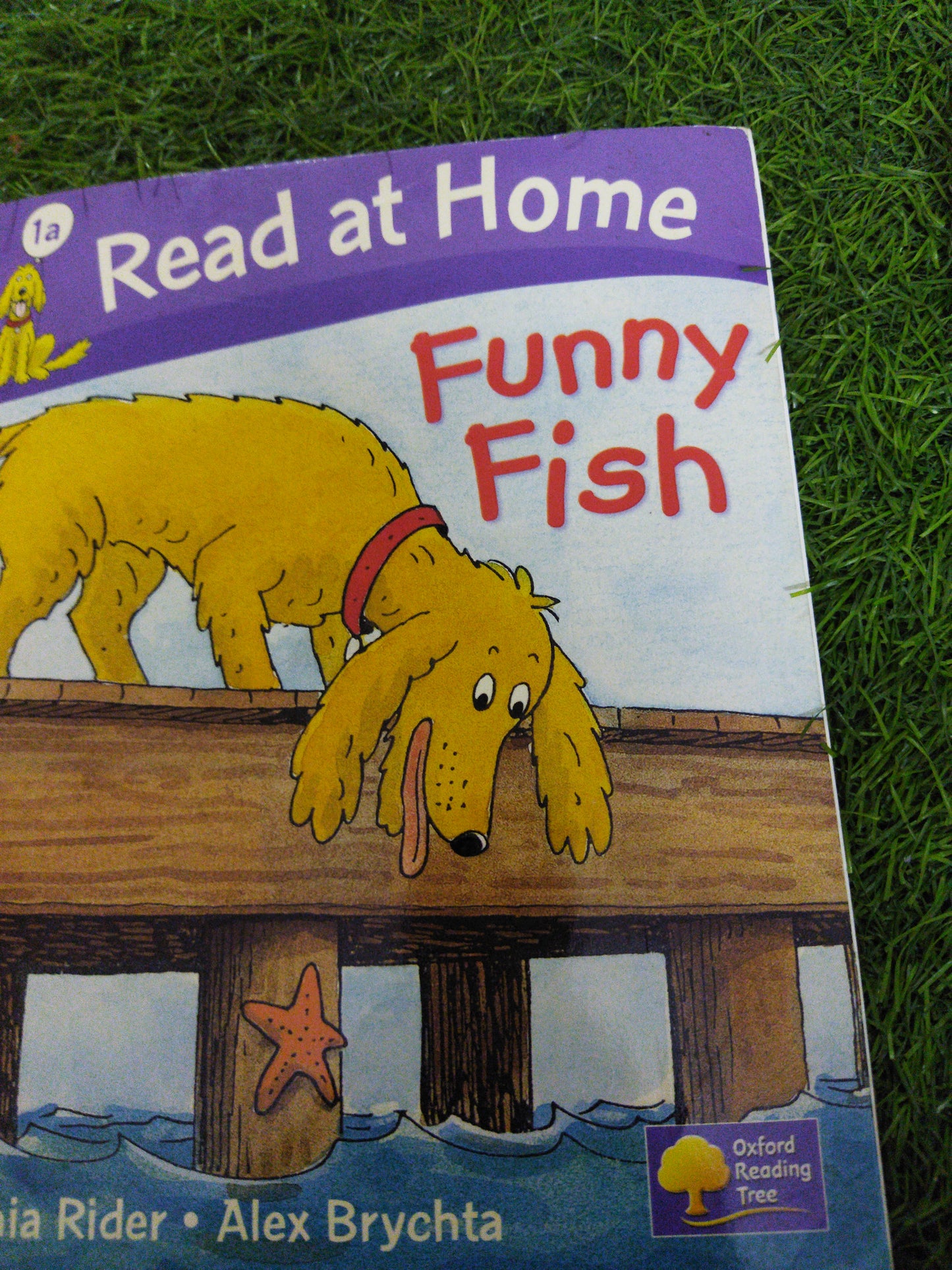 Read at Home Funny Fish