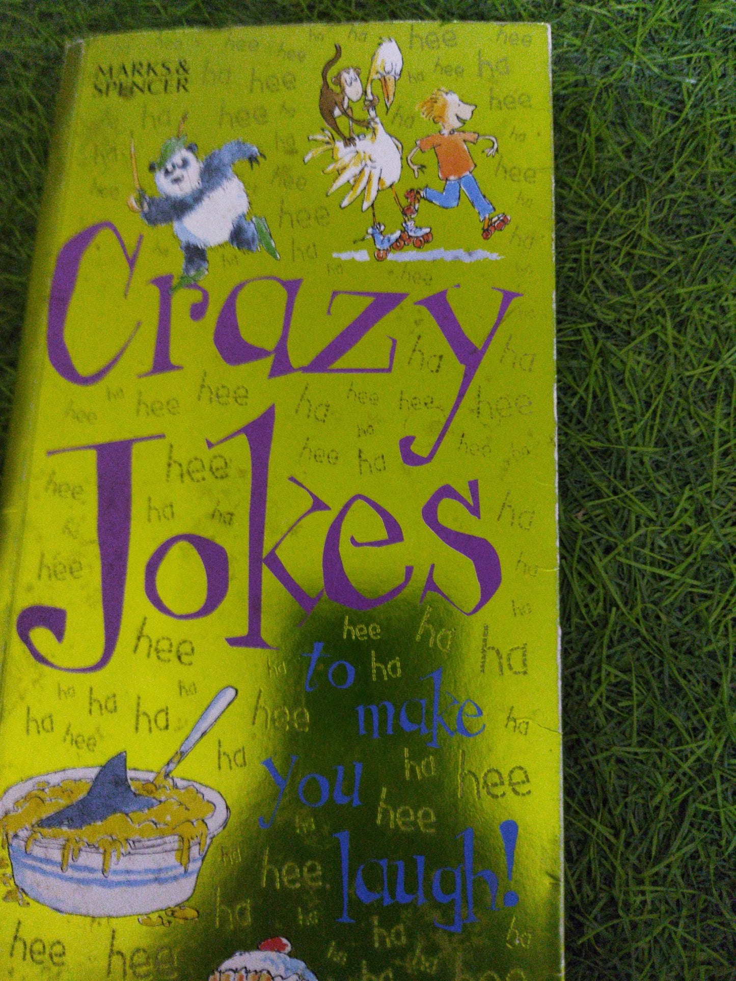 Crazy Jokes to make you Laugh !