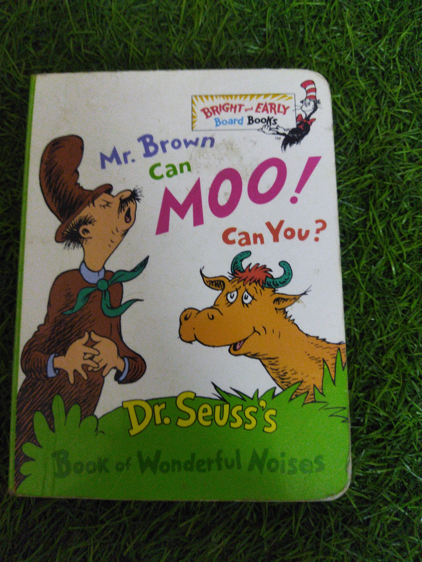 Mr. Brown can Moo ! Can You ?