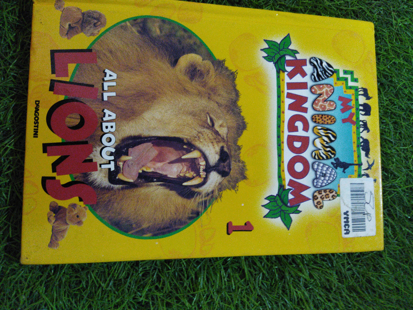 My Animal Kingdom All About Lions