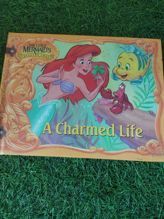 The Little MerMaid's Treasure Chest  A Charmes Life