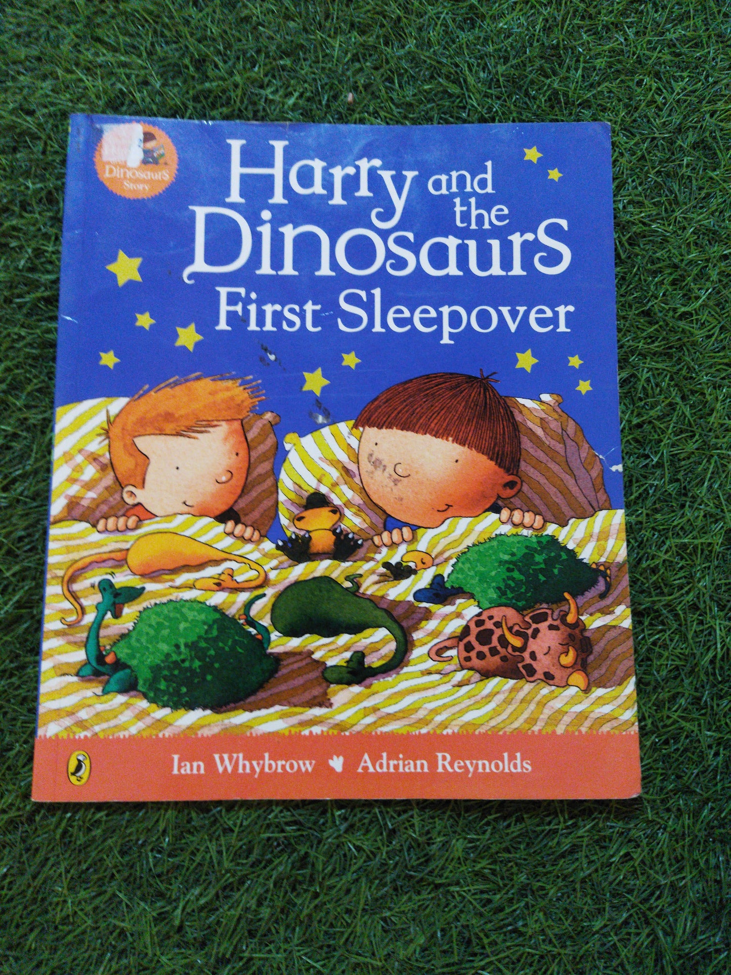Harry and the Dinosaurs First Sleepover