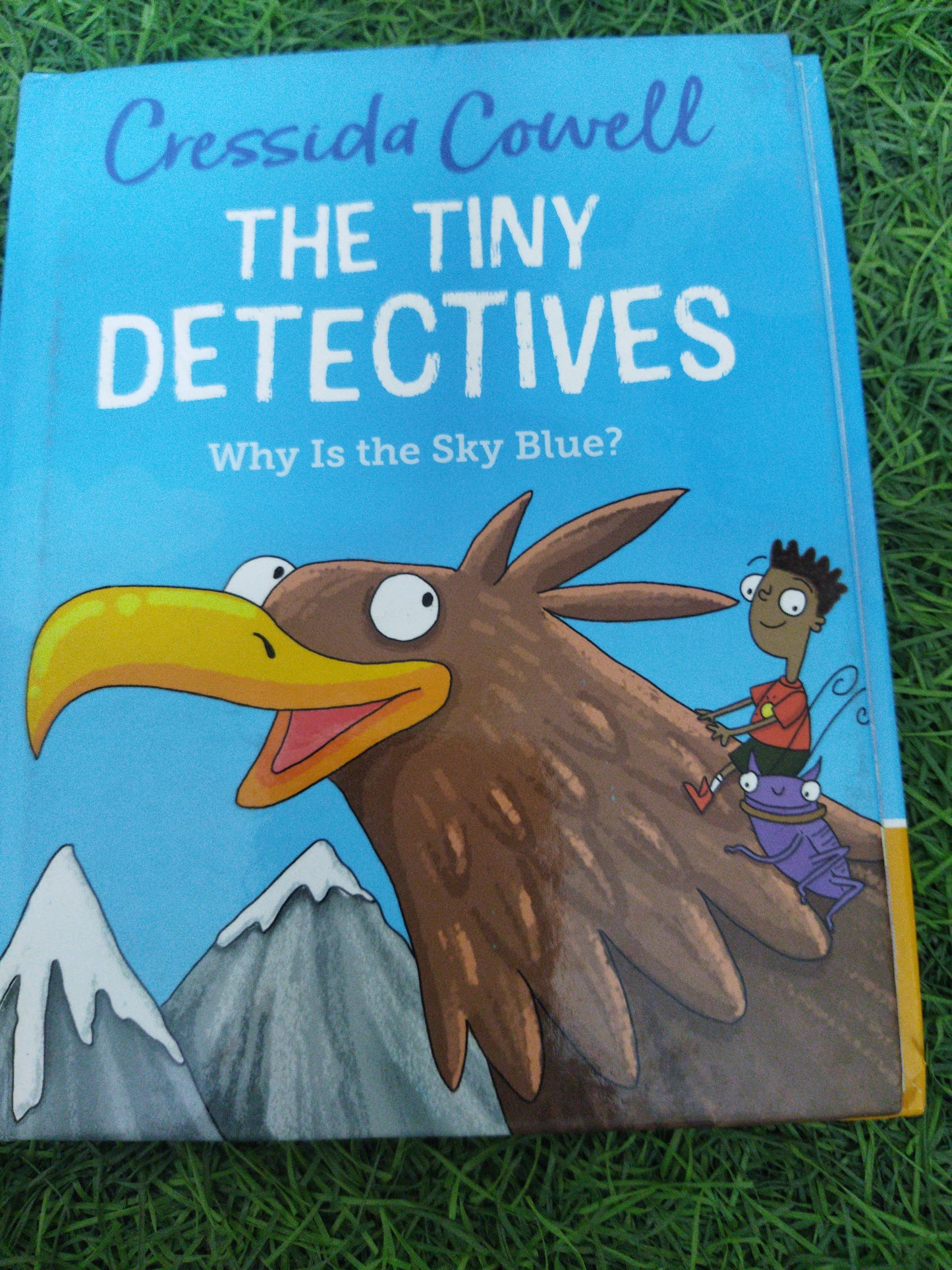The Tiny Detectives Why Is The Sky Blue ?