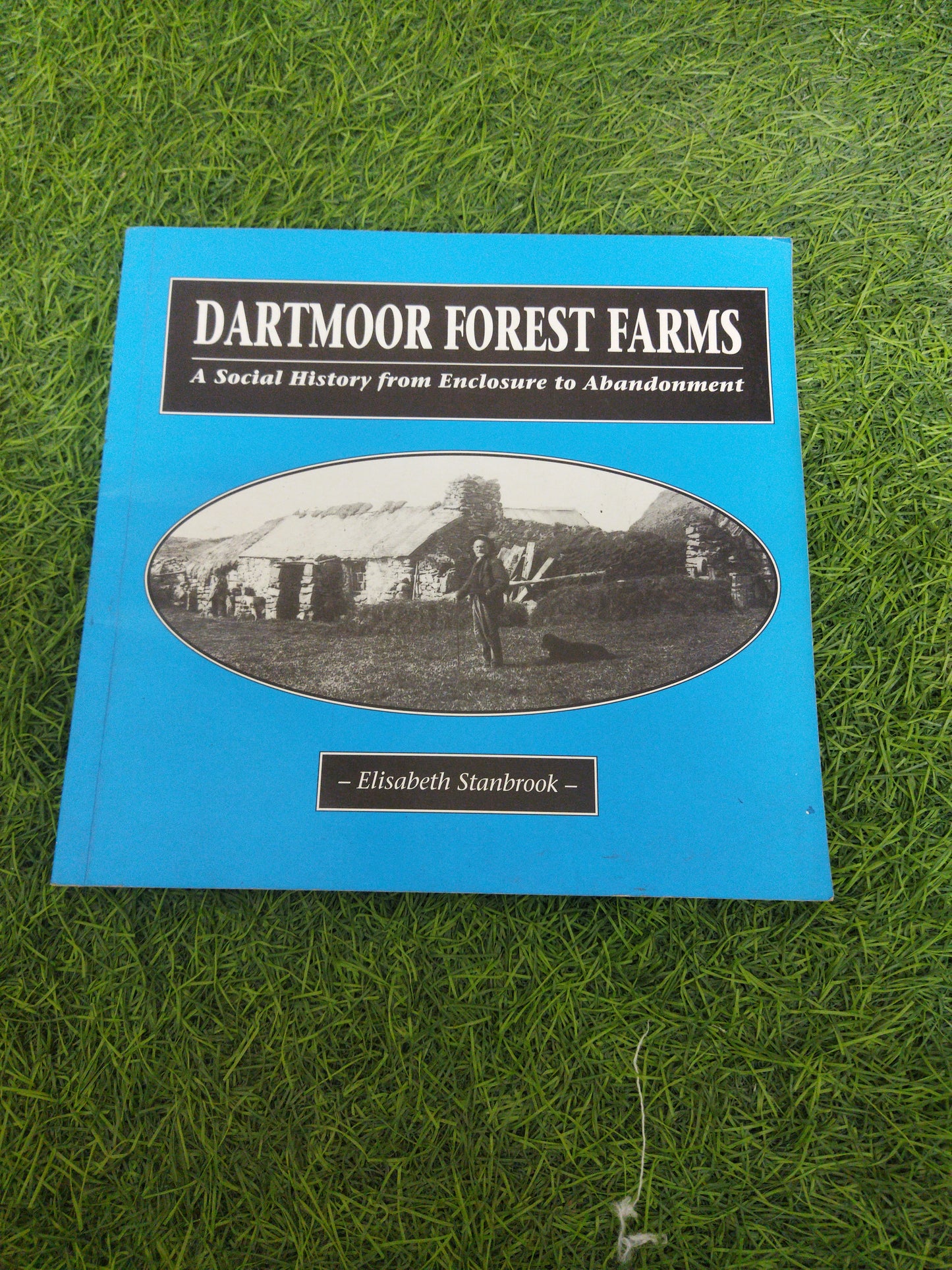 Dartmoor Forest Farm