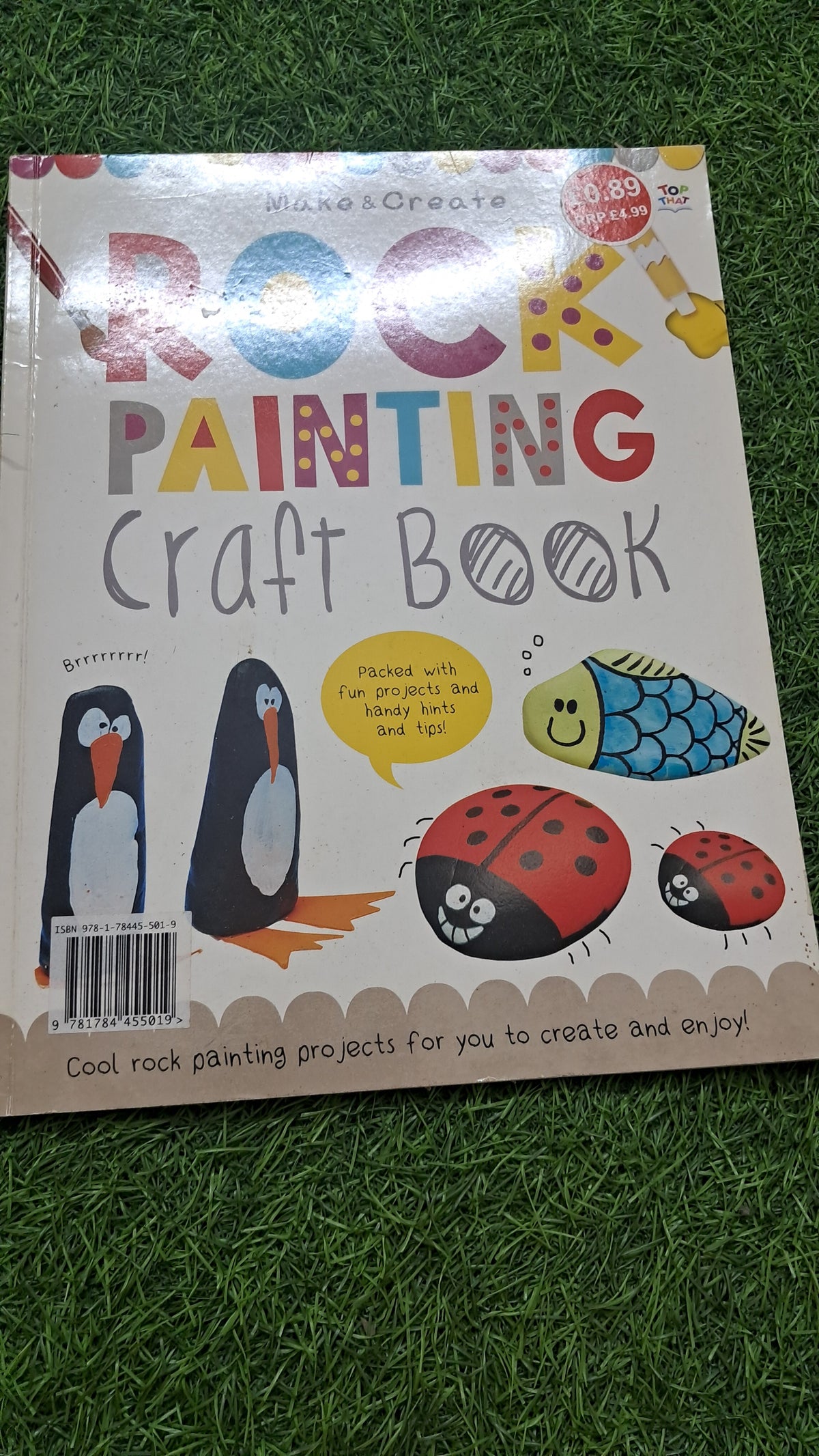 Make & Create Rock Painting Craft Book