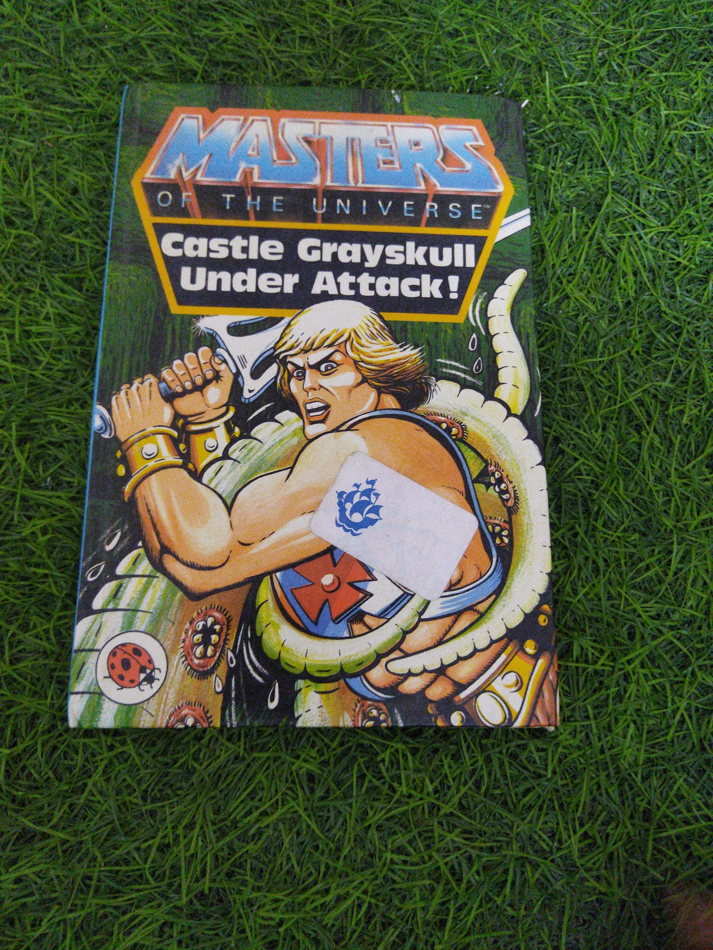 Masters Of The Universe Castle Grarskull Under Attack !