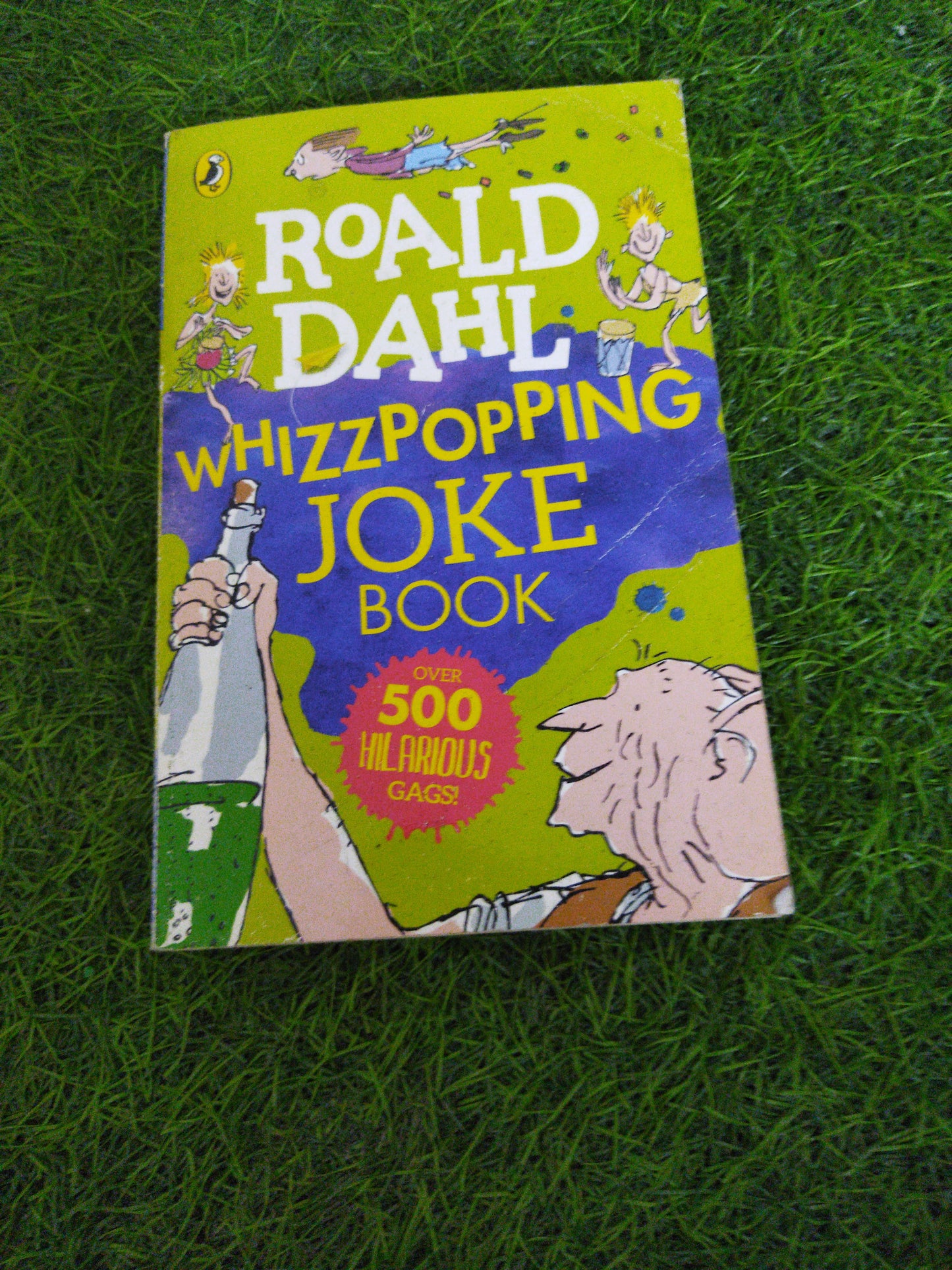 Roald Dahl Whizzpopping Joke Book